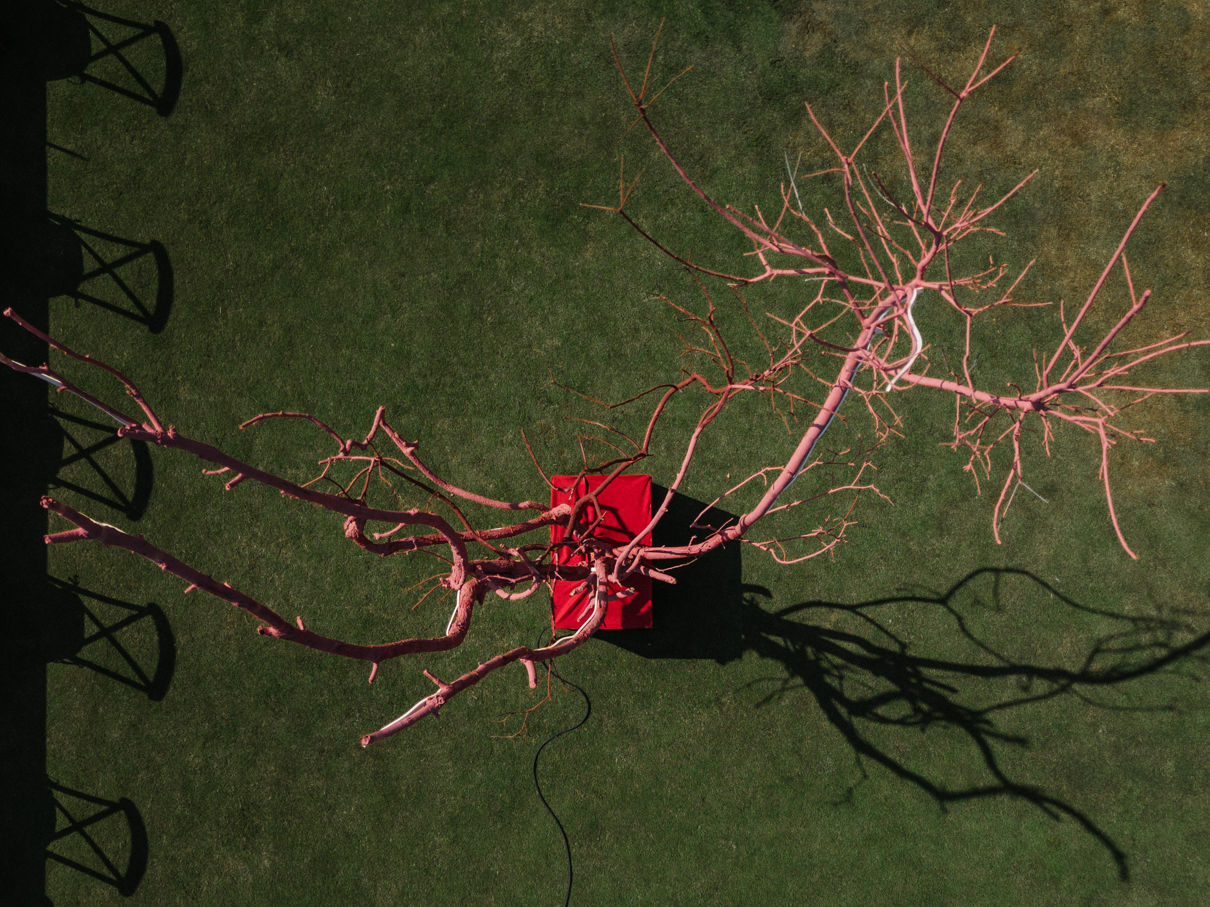 Балдеж. Свадебный и семейный фотограф в Краснодаре Роман Моско