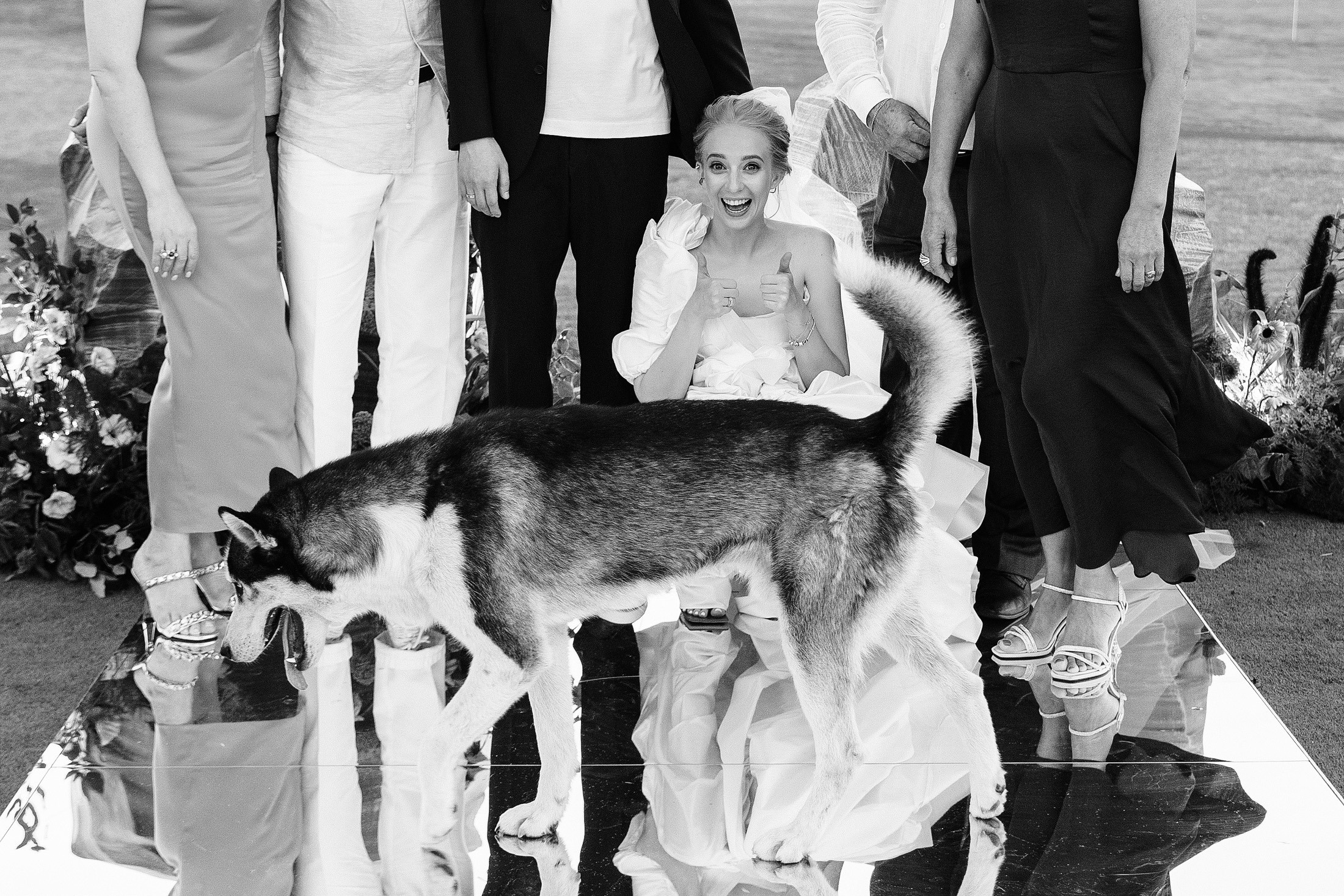 Балдеж. Свадебный и семейный фотограф в Краснодаре Роман Моско