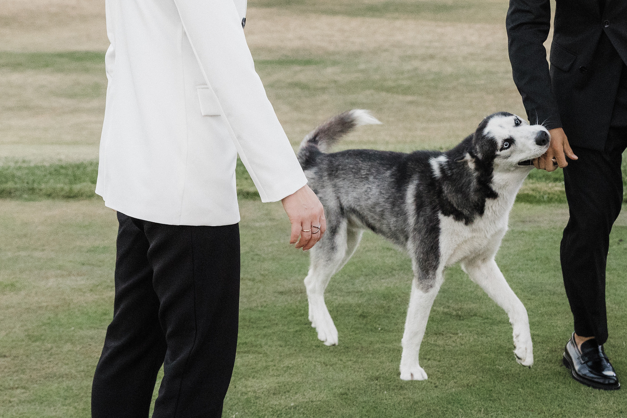 Балдеж. Свадебный и семейный фотограф в Краснодаре Роман Моско