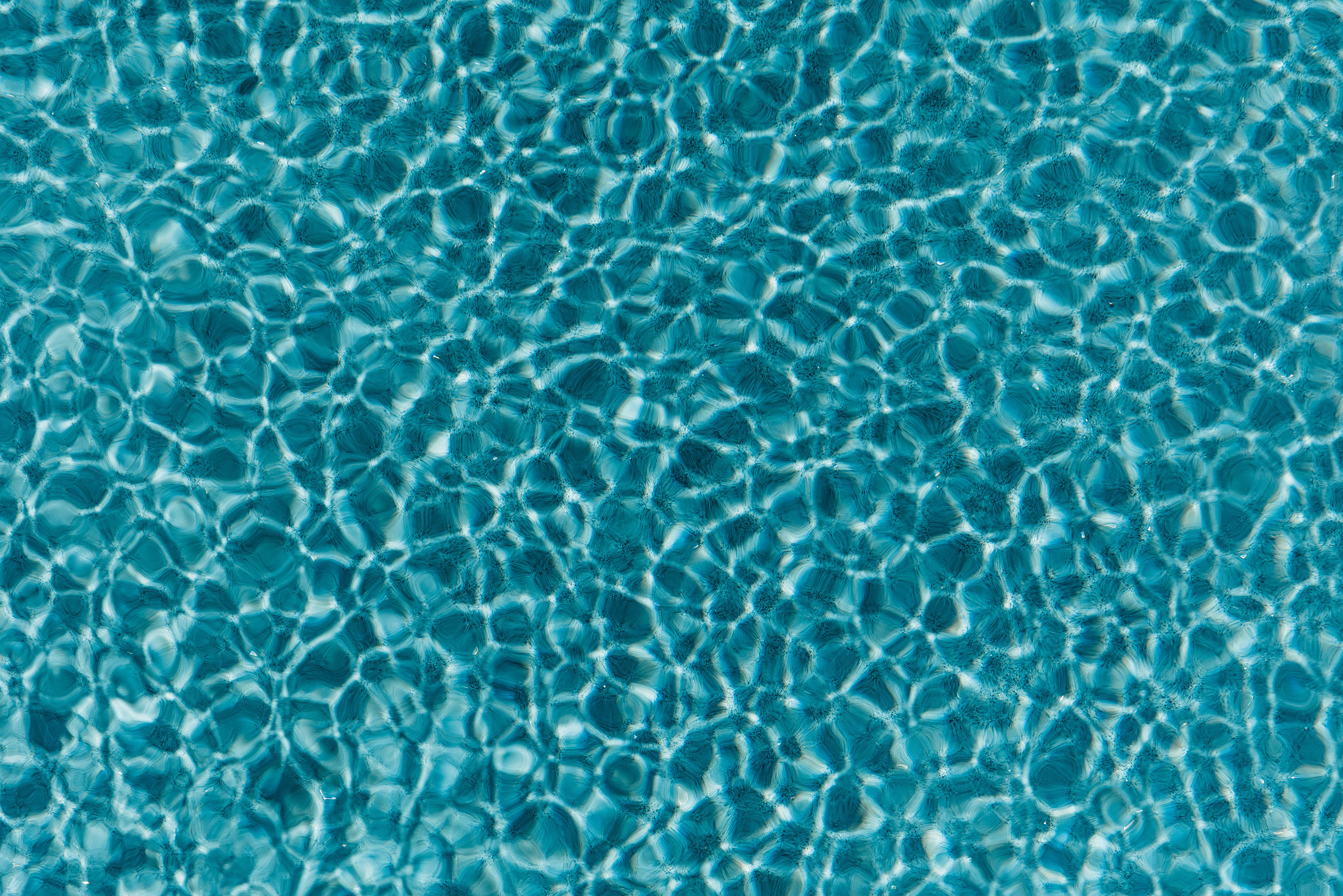 Балдеж. Свадебный и семейный фотограф в Краснодаре Роман Моско