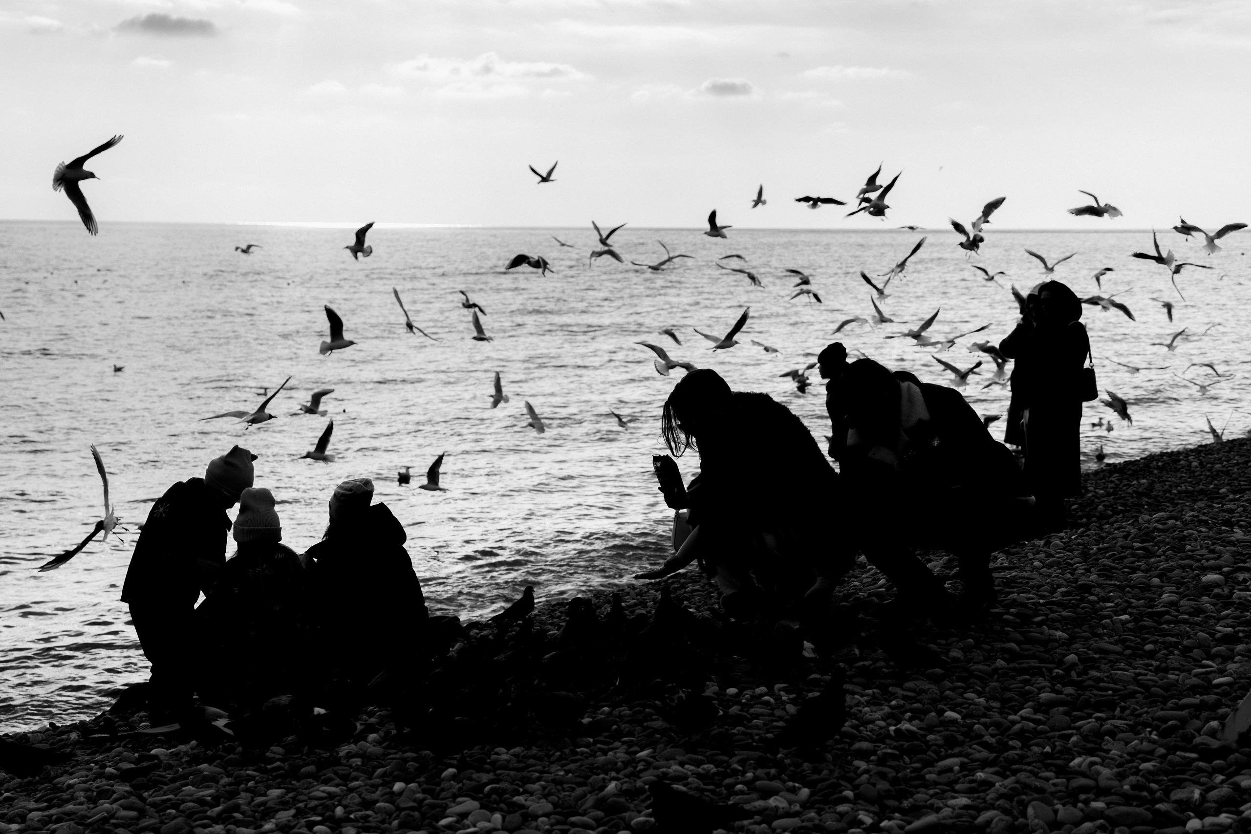 СТРИТ. Фотосъёмка Сочи, Адлер, Красная Поляна