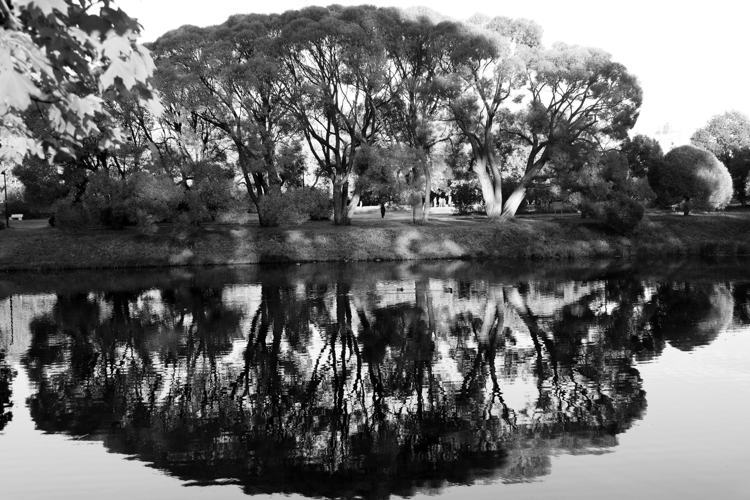 У воды. Главная