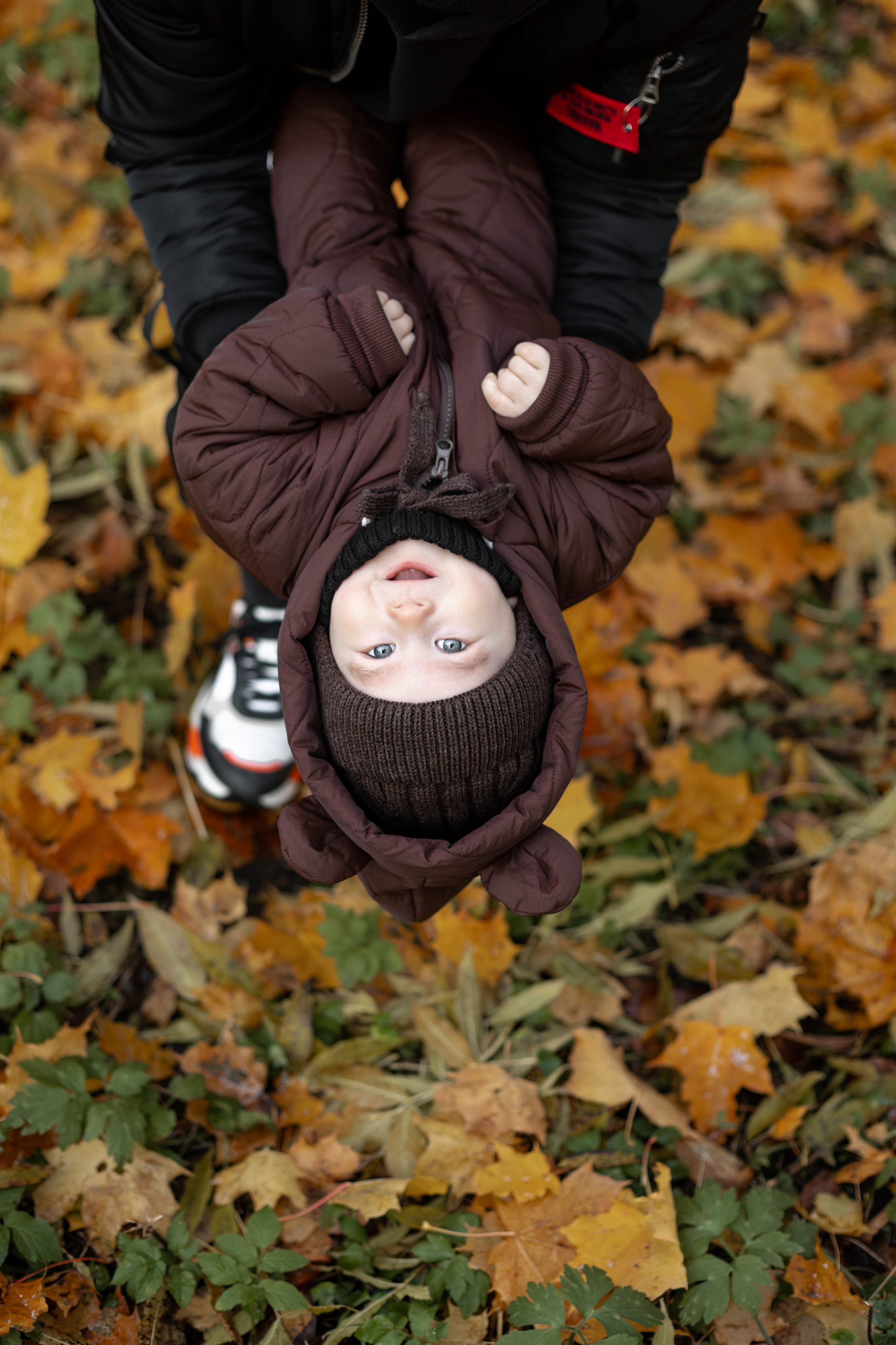 Осень. Фотограф Москва