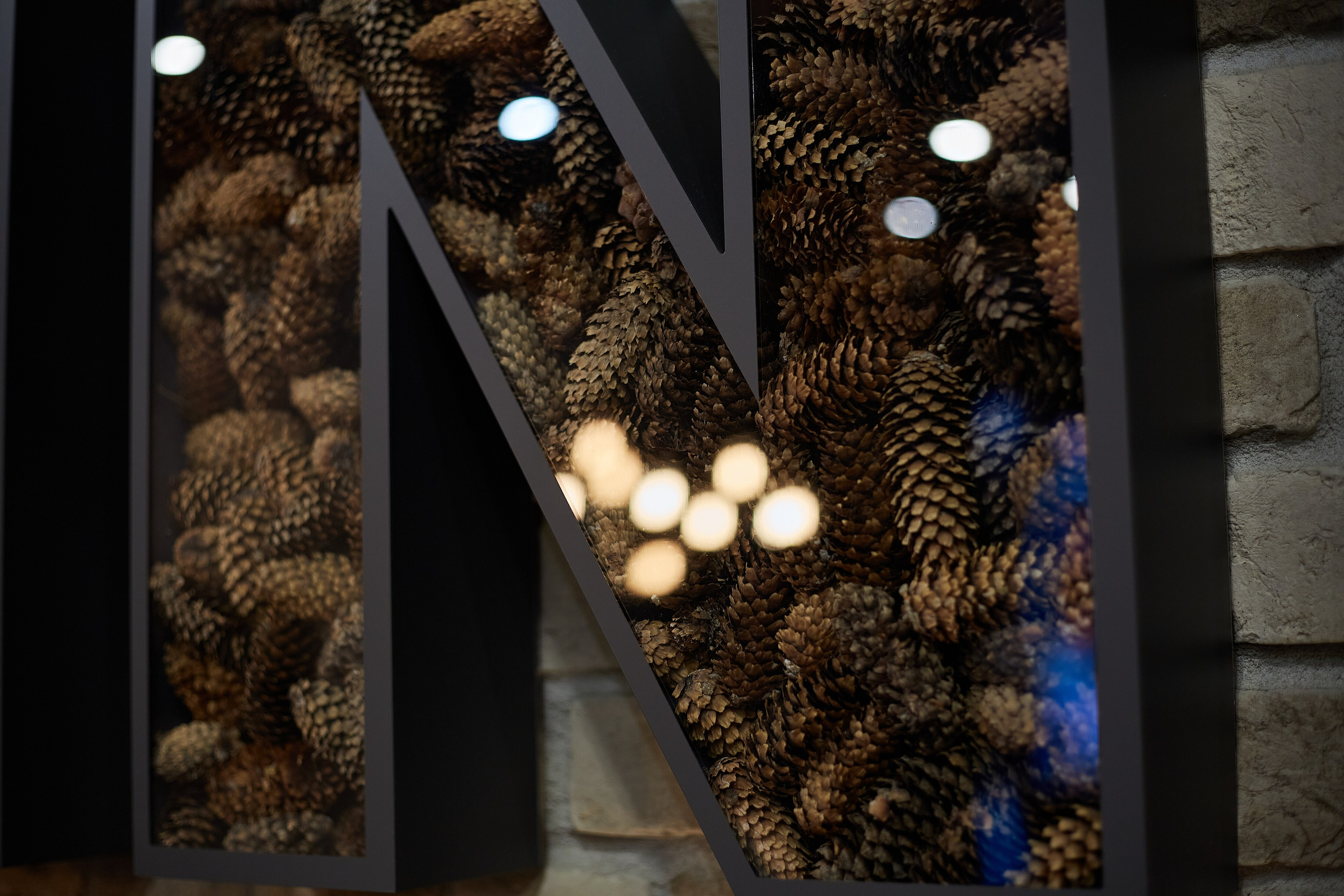 2023-10-12. Risan. Quiz