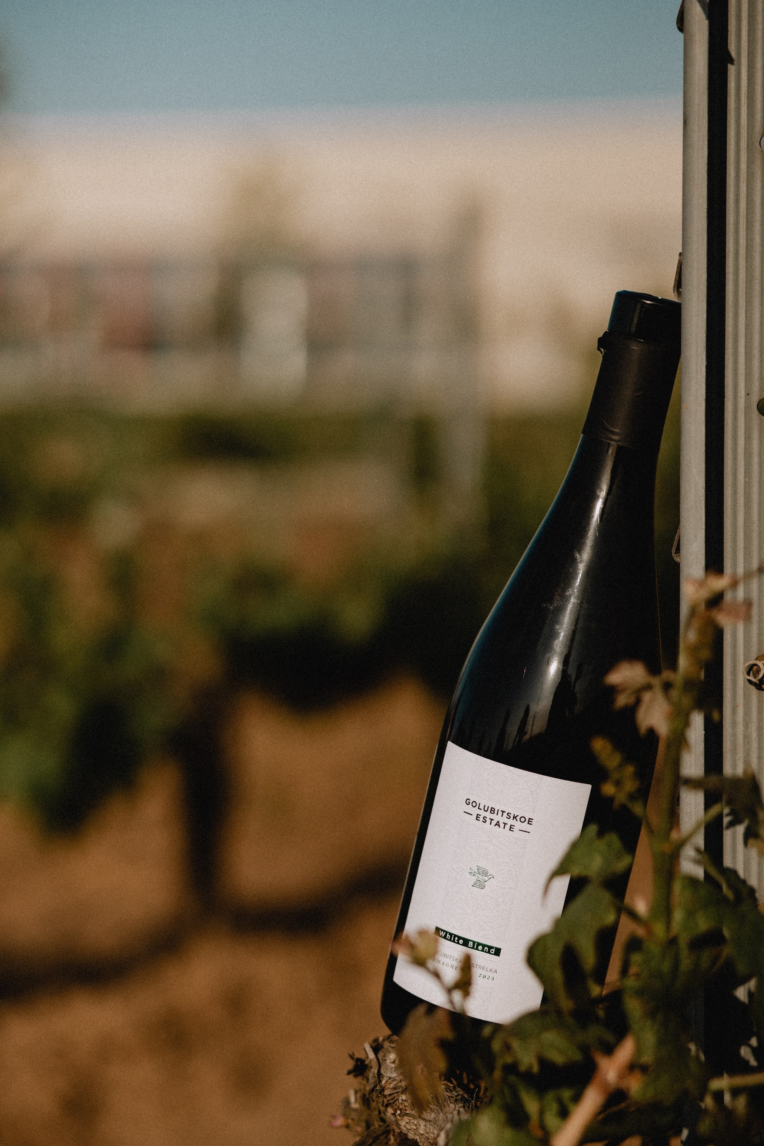 Виноградники и море. Фотограф в Краснодаре и Краснодарском Крае