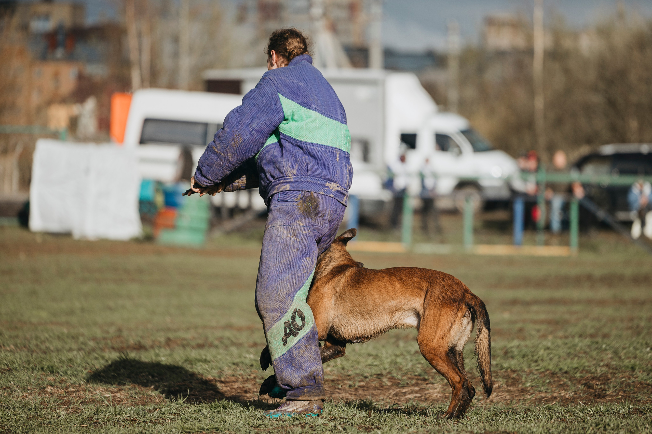 09.05.25 Вологда соревнования. Фотограф-анималист Анна Маринич