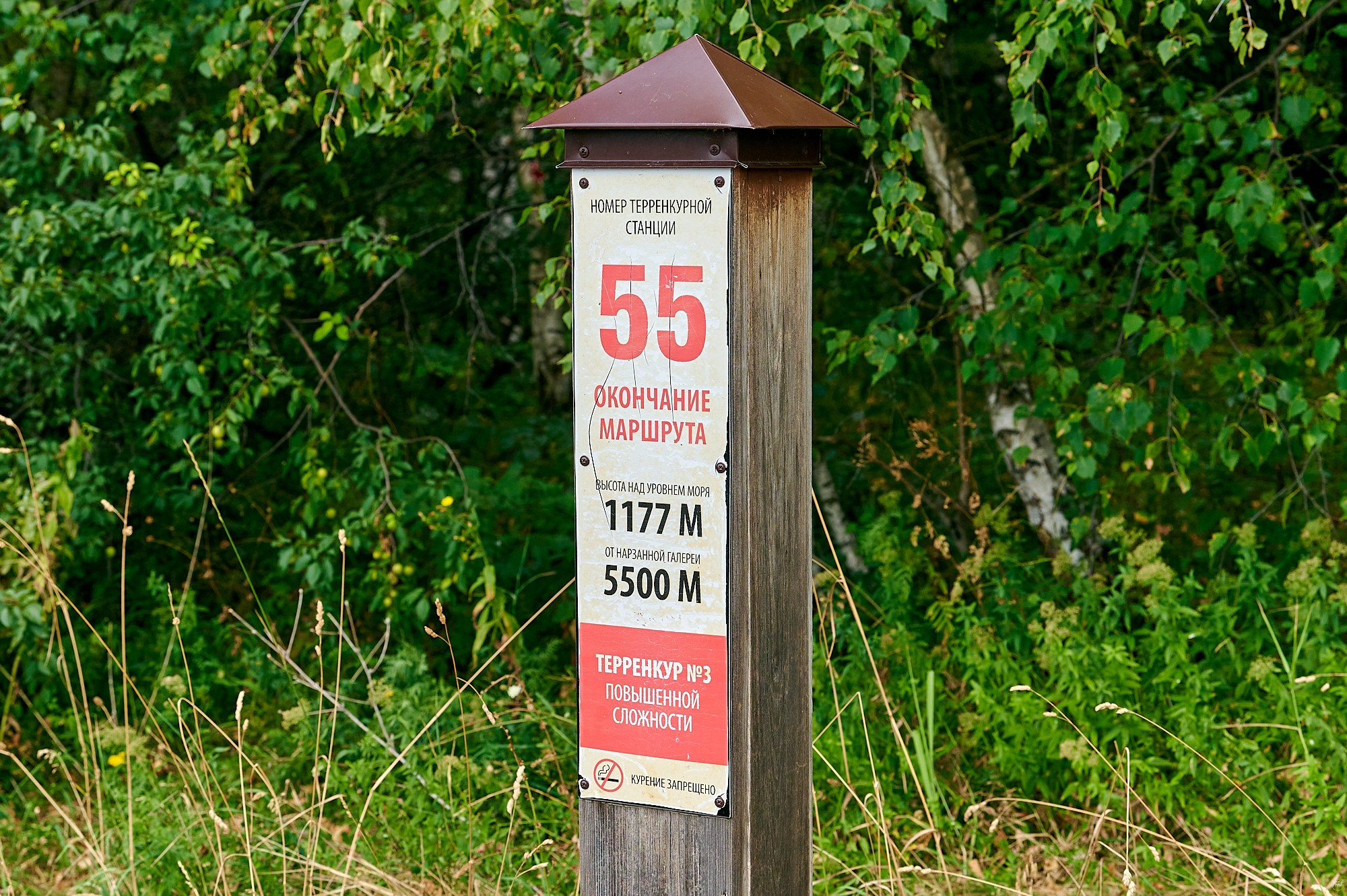 Кисловодск, Россия. Август 2024. Фотографии отовсюду и обо всем