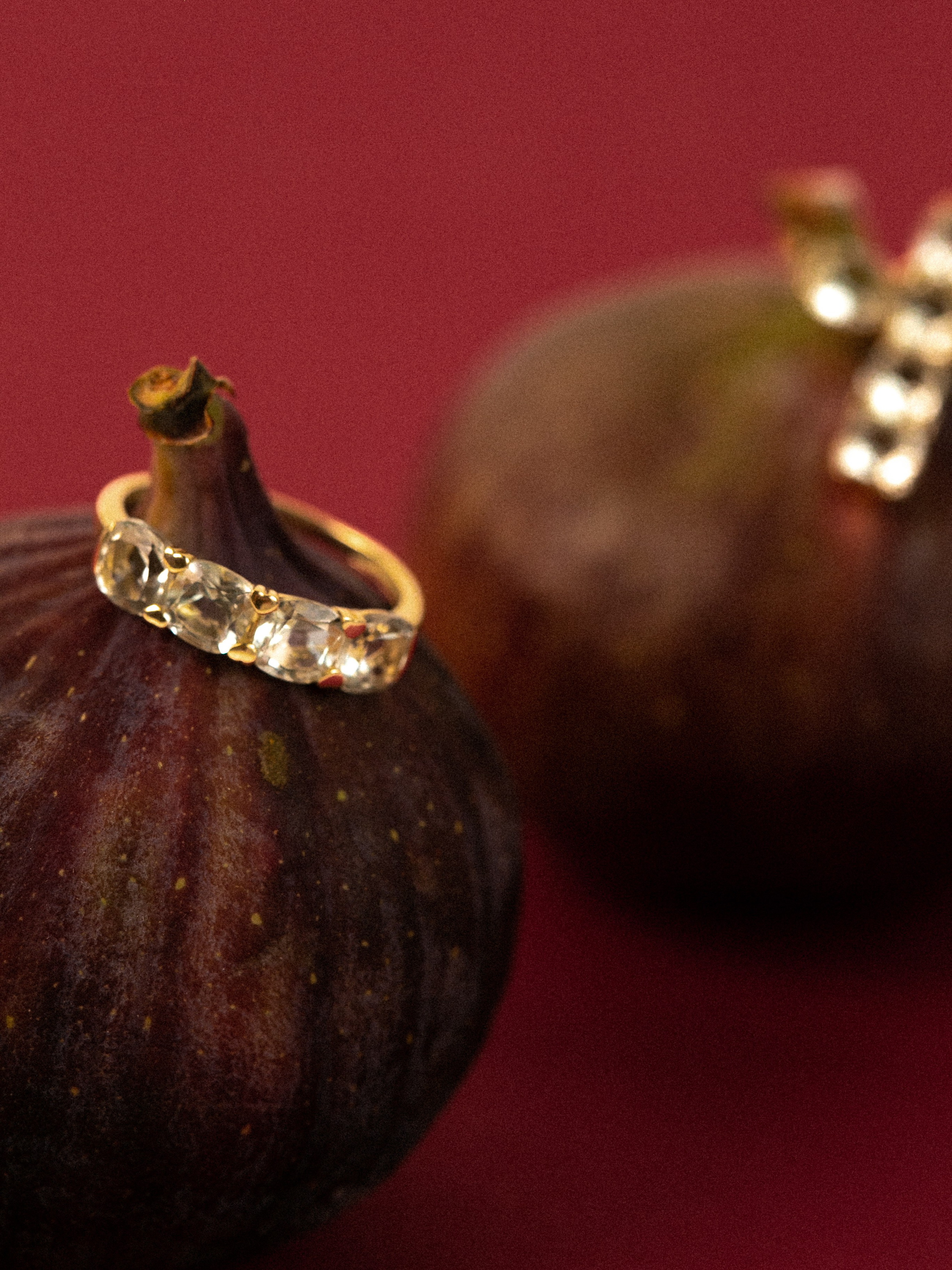 Jolie. Фотограф Шевчик Виктория