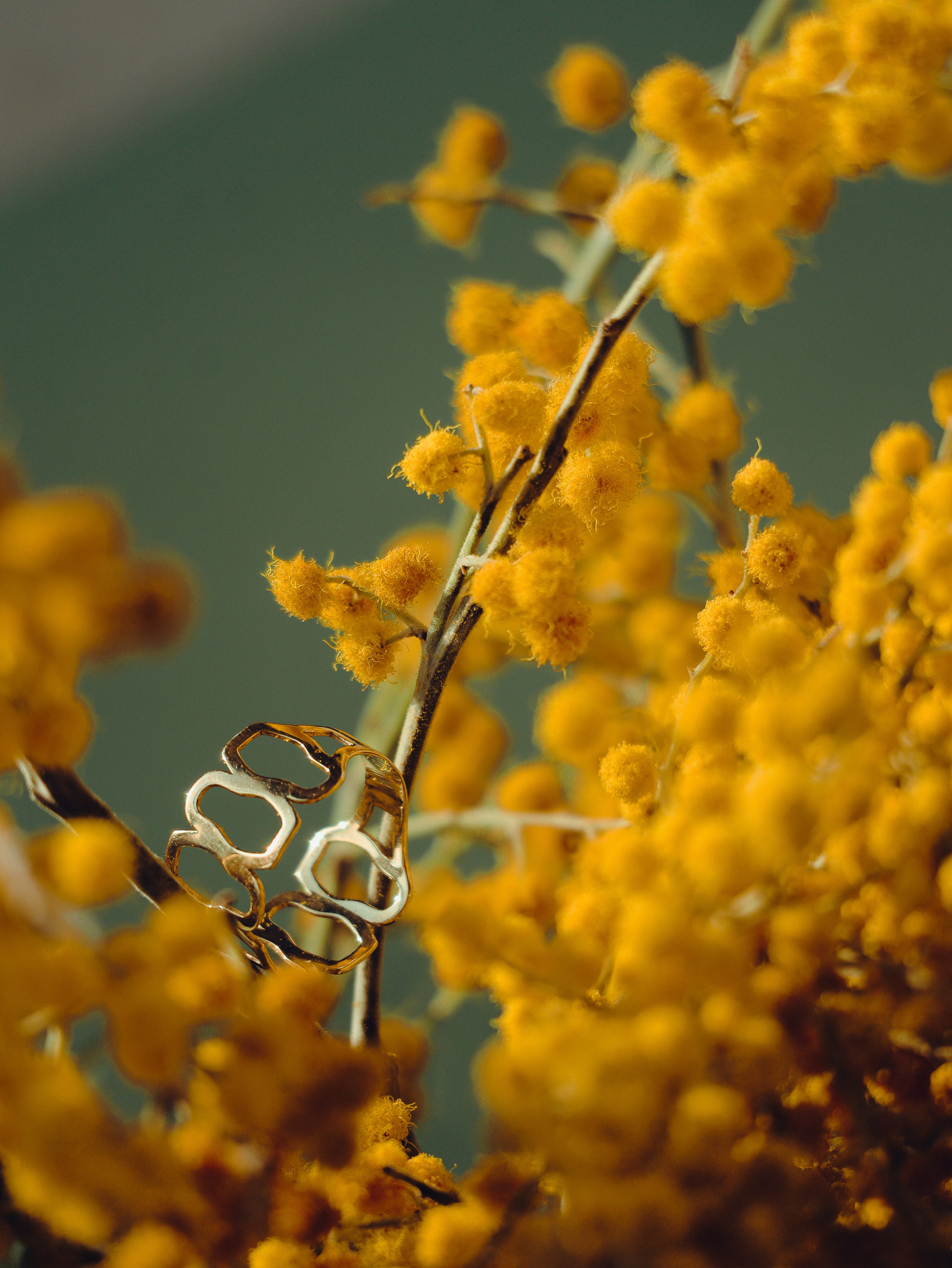 КОНТЕНТ-СЪЁМКА. Кинематографичный фотограф, видеограф Лина Плешакова, Санкт-Петербург