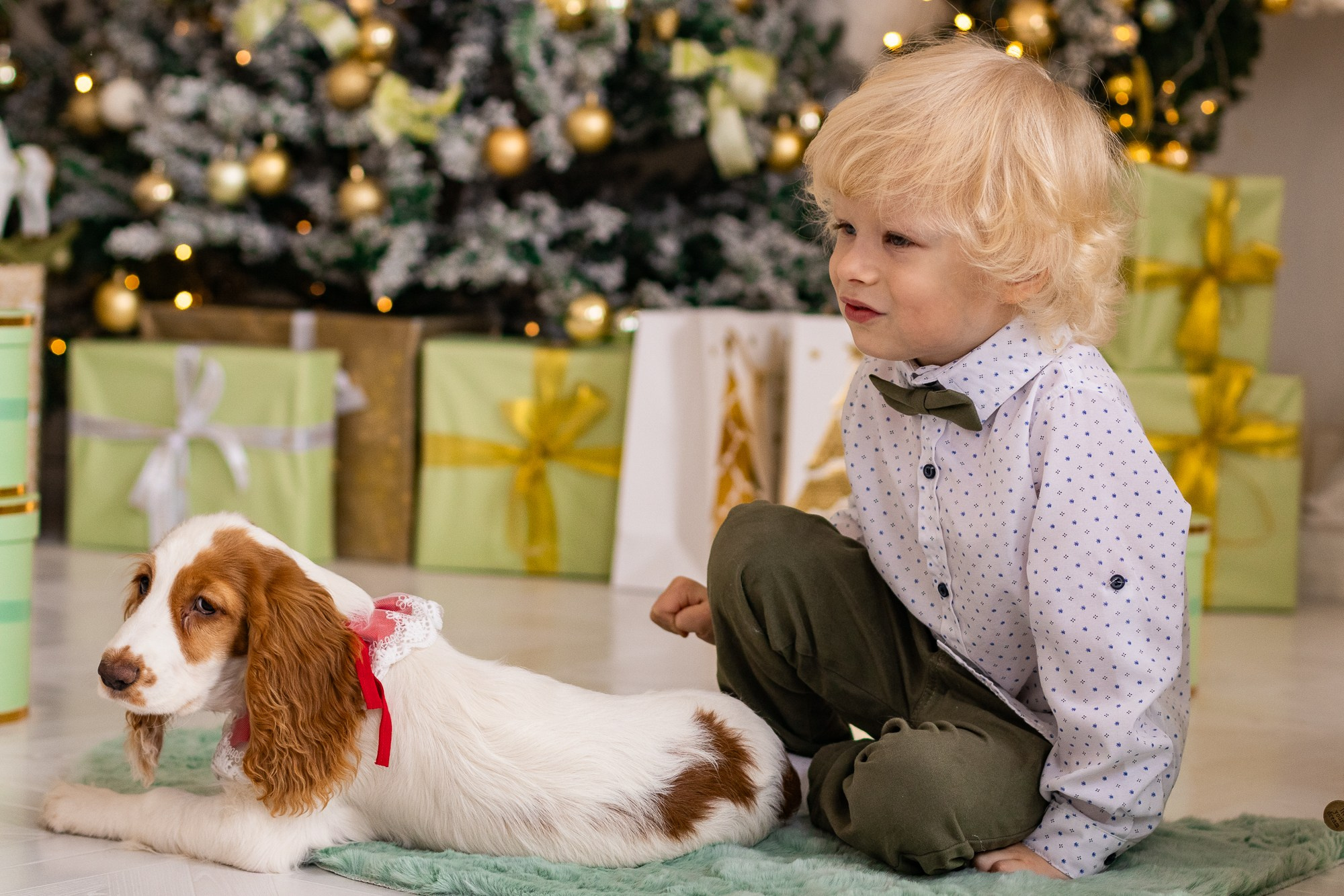 Семейная съемка. Фотограф в Москве и Московской области — Акулина Софья