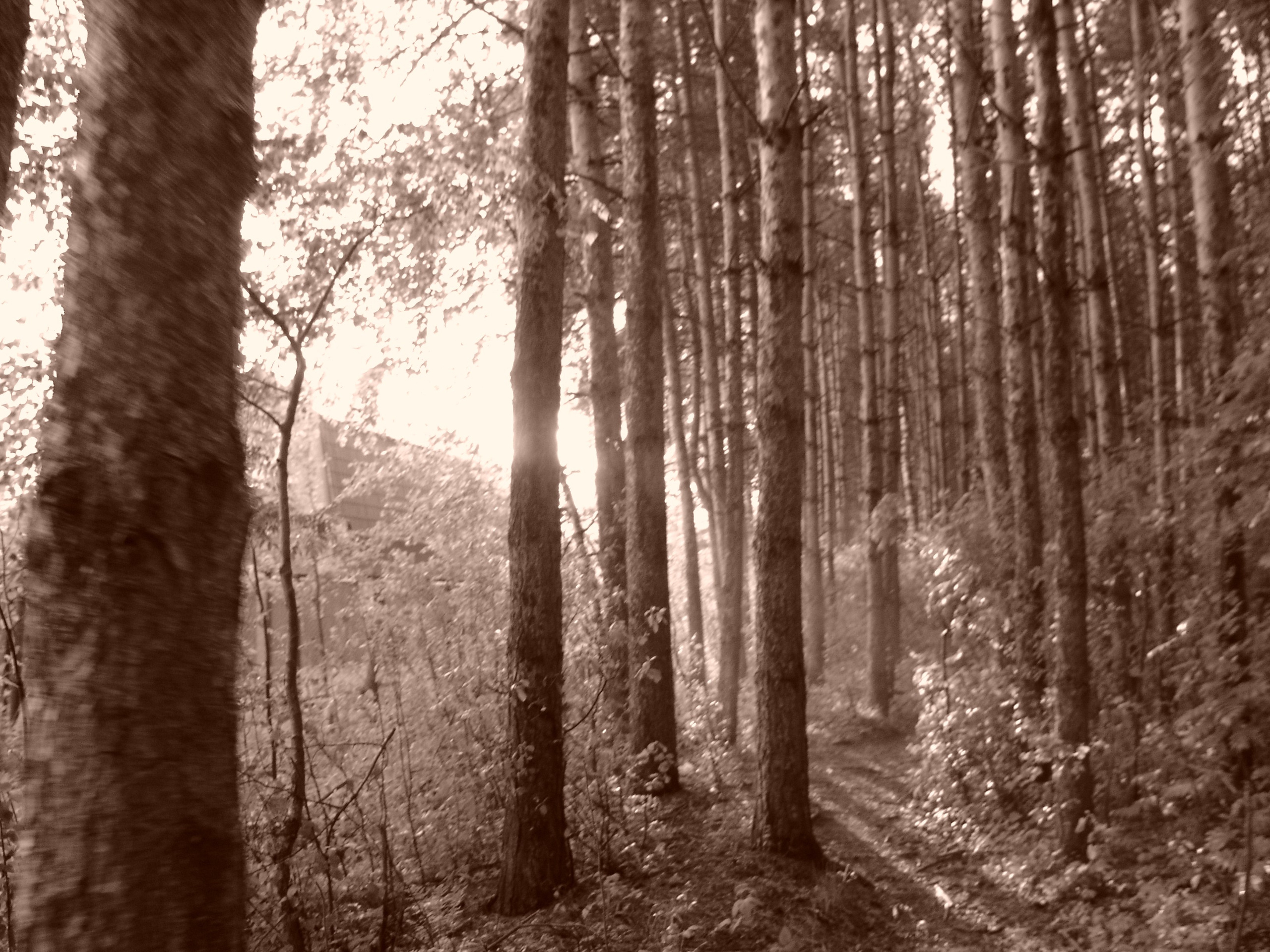 Приезд КС 2005. Заставка