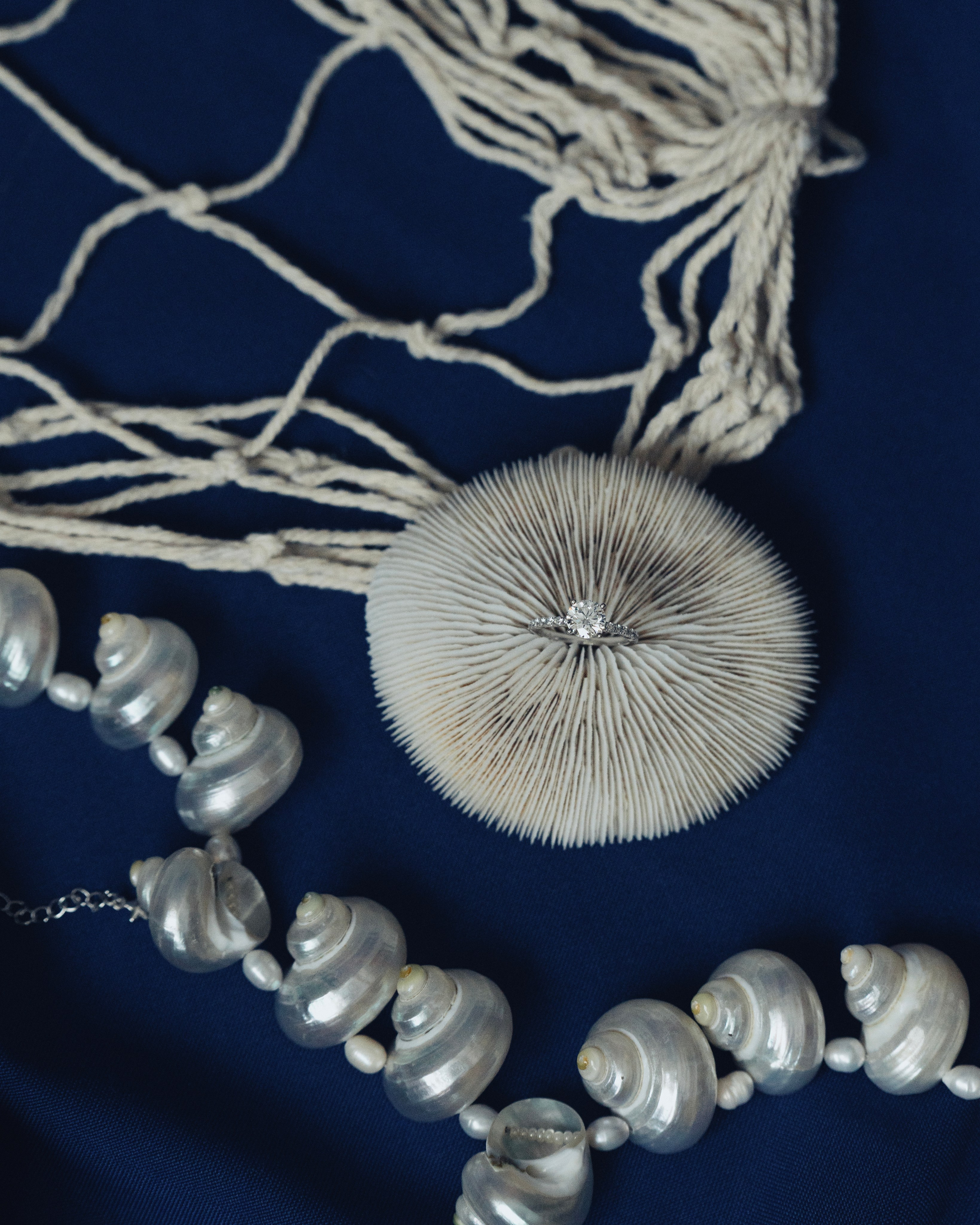 МОЙ ОКЕАН. Свадебный фотограф в Москве Мария Кривоногова