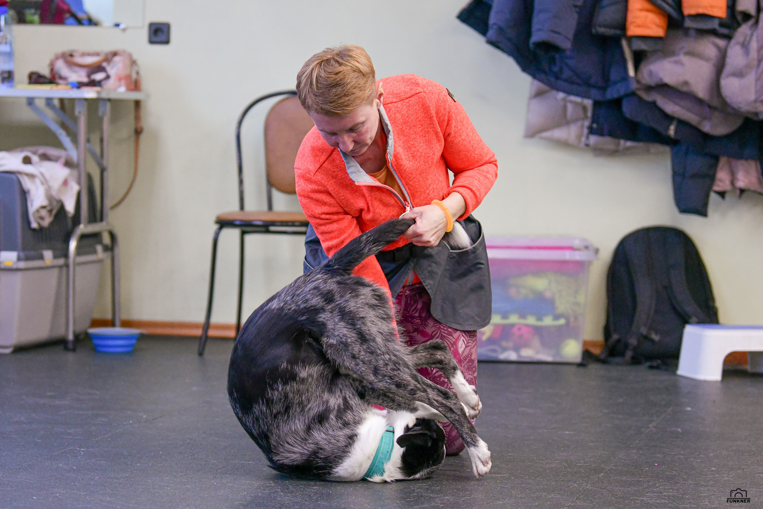 Кинологический клуб «Бодрый хвост». Свой взгляд через объектив