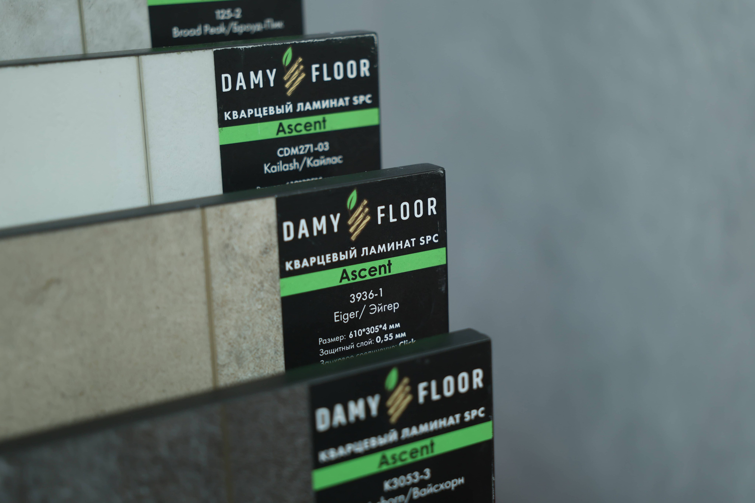 Damy Floor