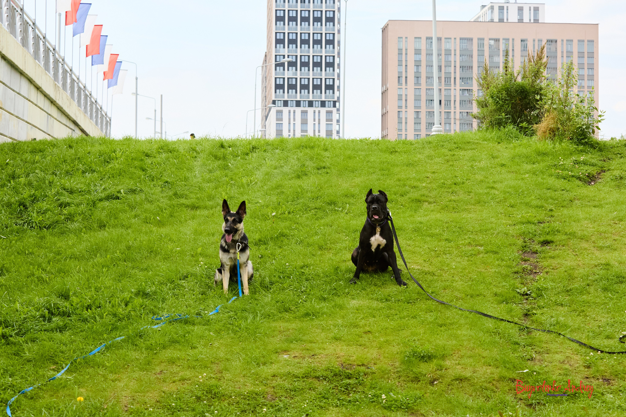 Проект фотопрогулка с хвостиком. Buyvolenko Andrey