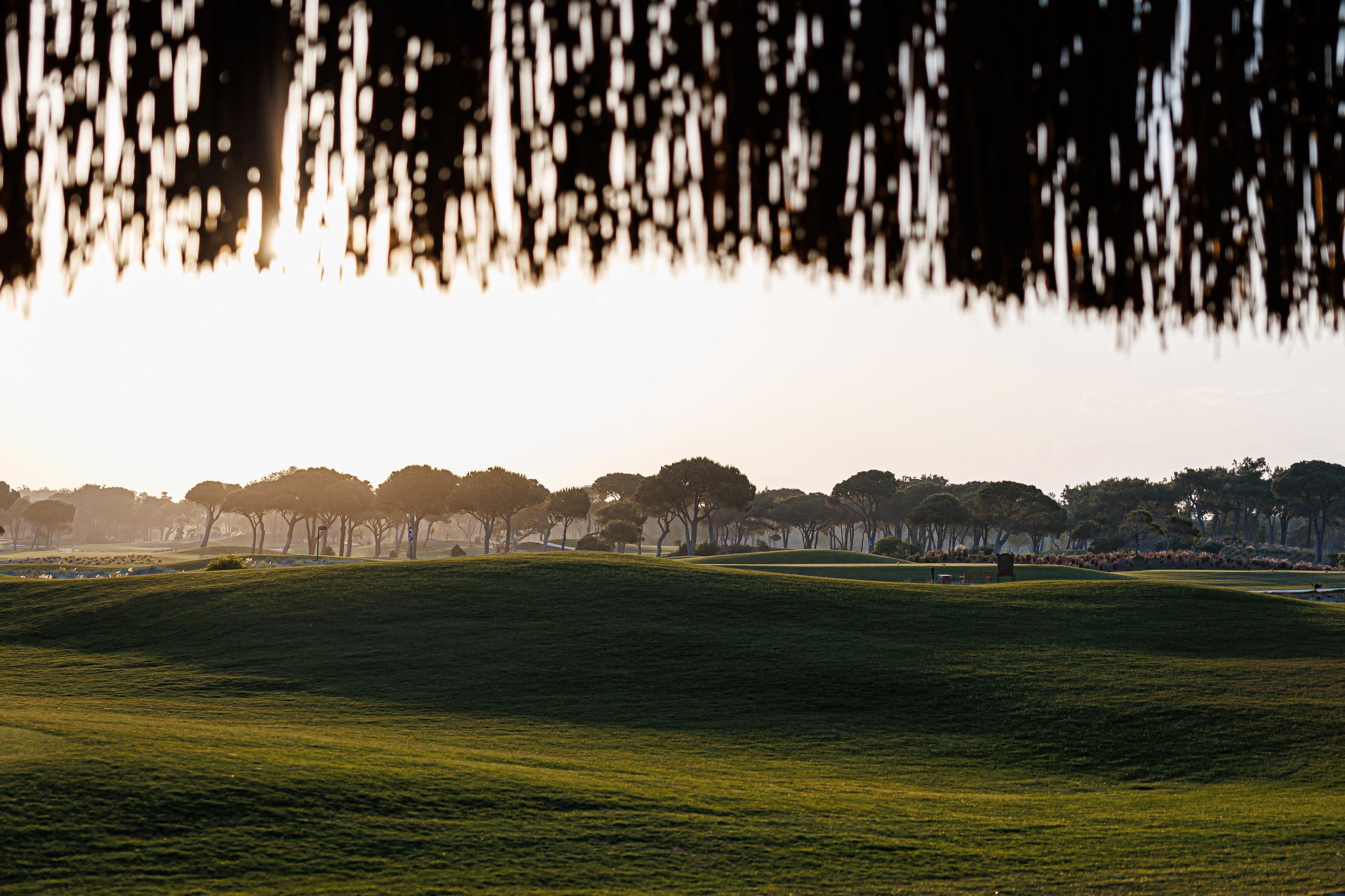 Фото и видео съёмка в Санкт-Петербурге
