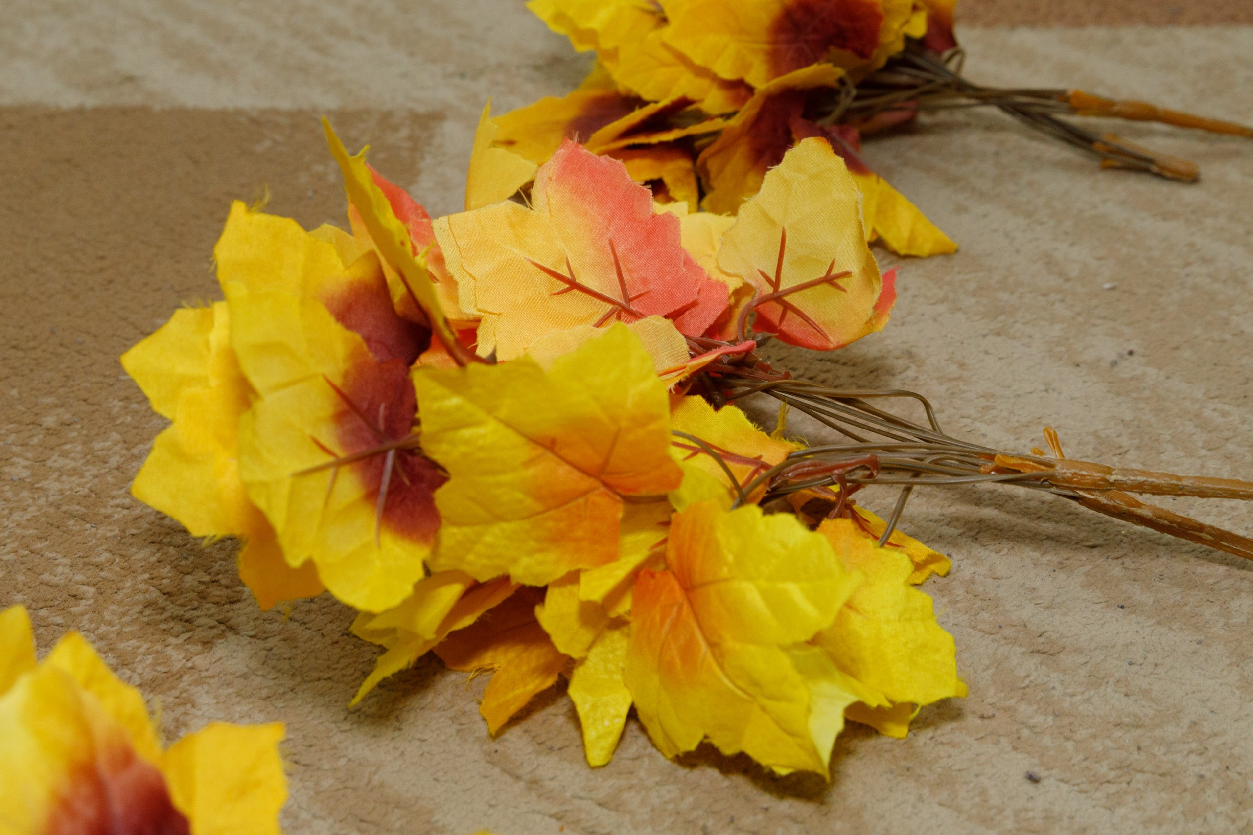 Группа Вишенка. Свадебный фотограф в Ярославле Анастасия Архипова
