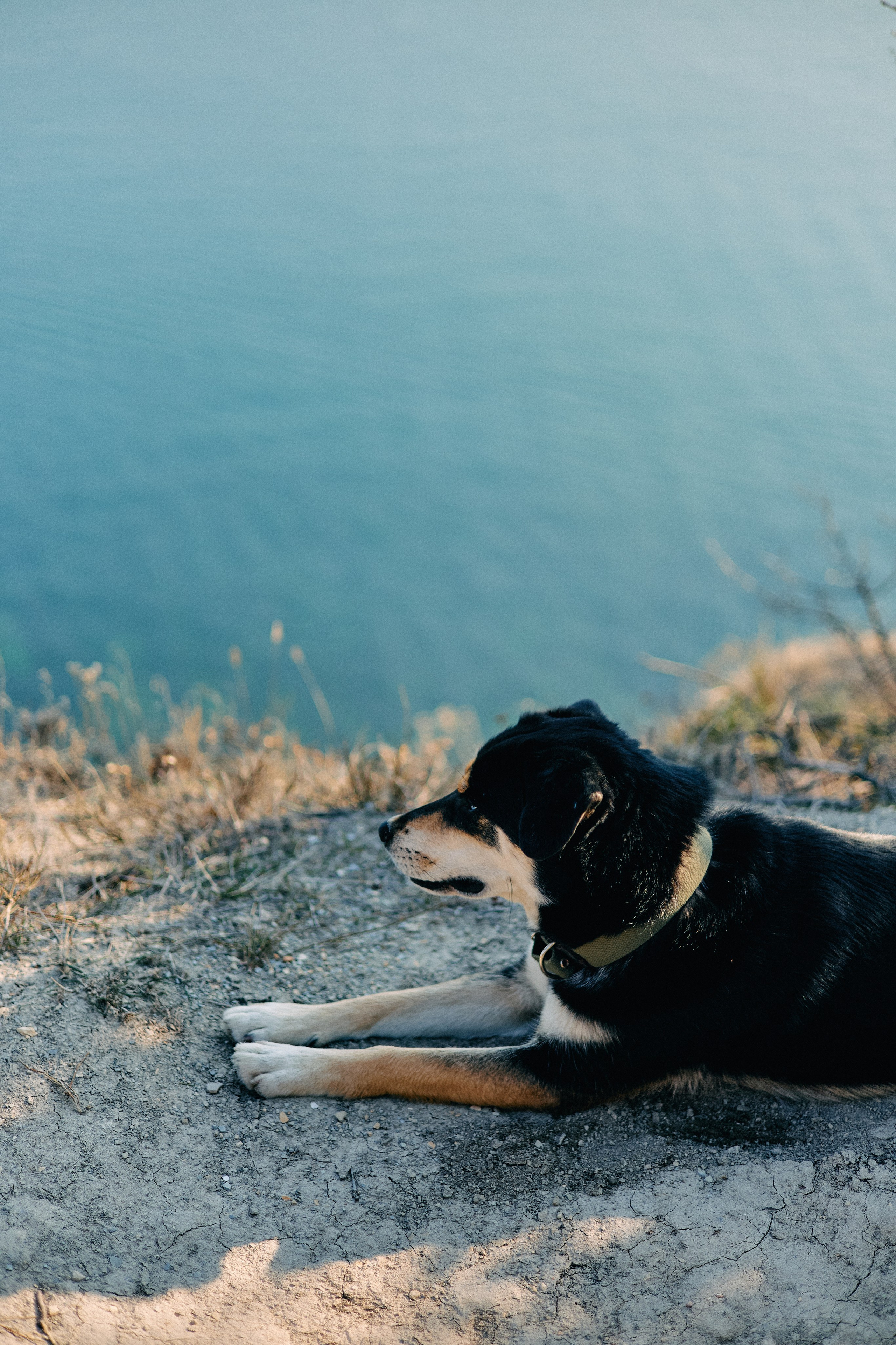 Юг России. Профессиональный Фотограф во Владимире, в Москве и в Суздале — Полина Романычева