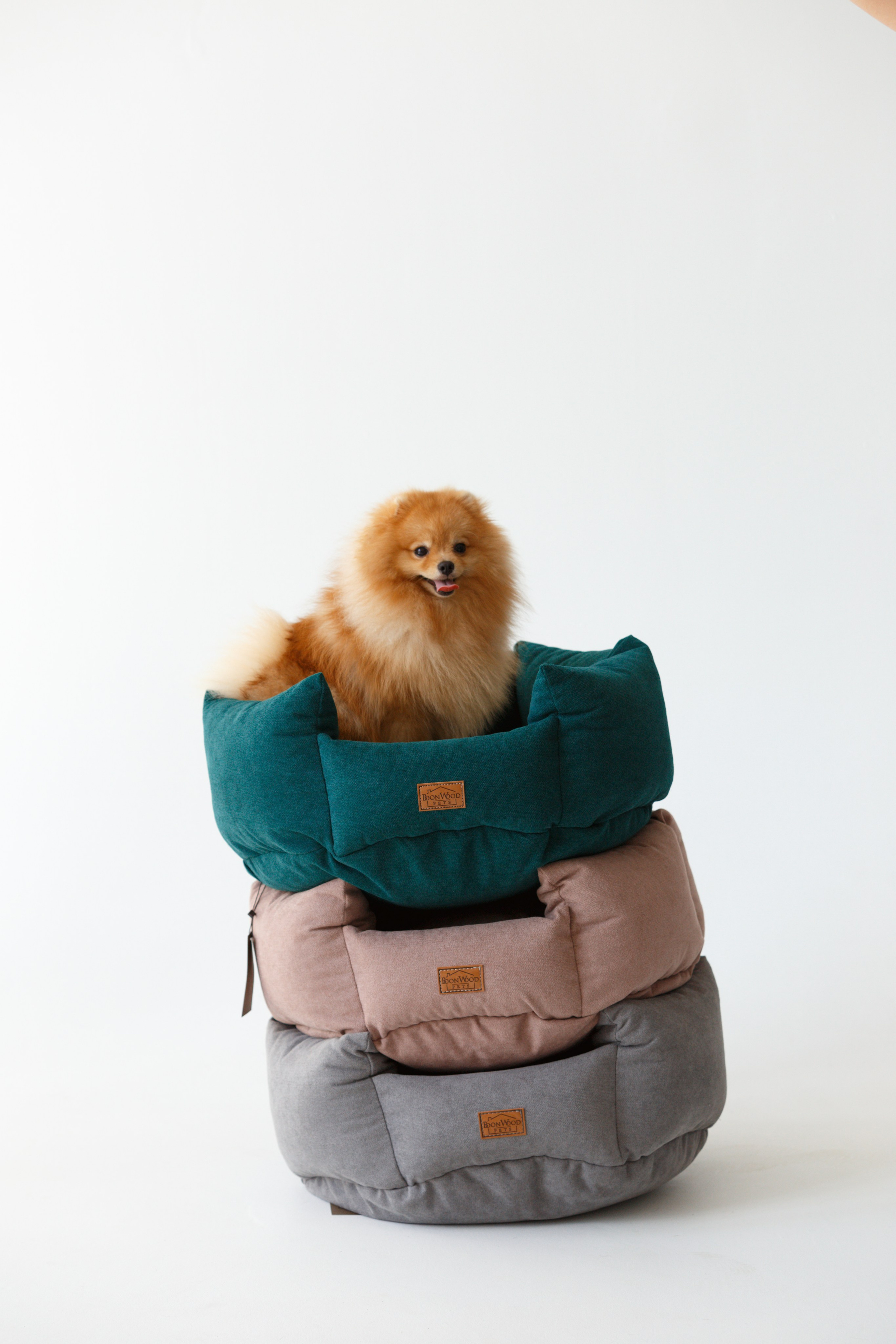 Boonwood Pets лежанки для животных. Фотограф анималист Кристина Карпова, Москва