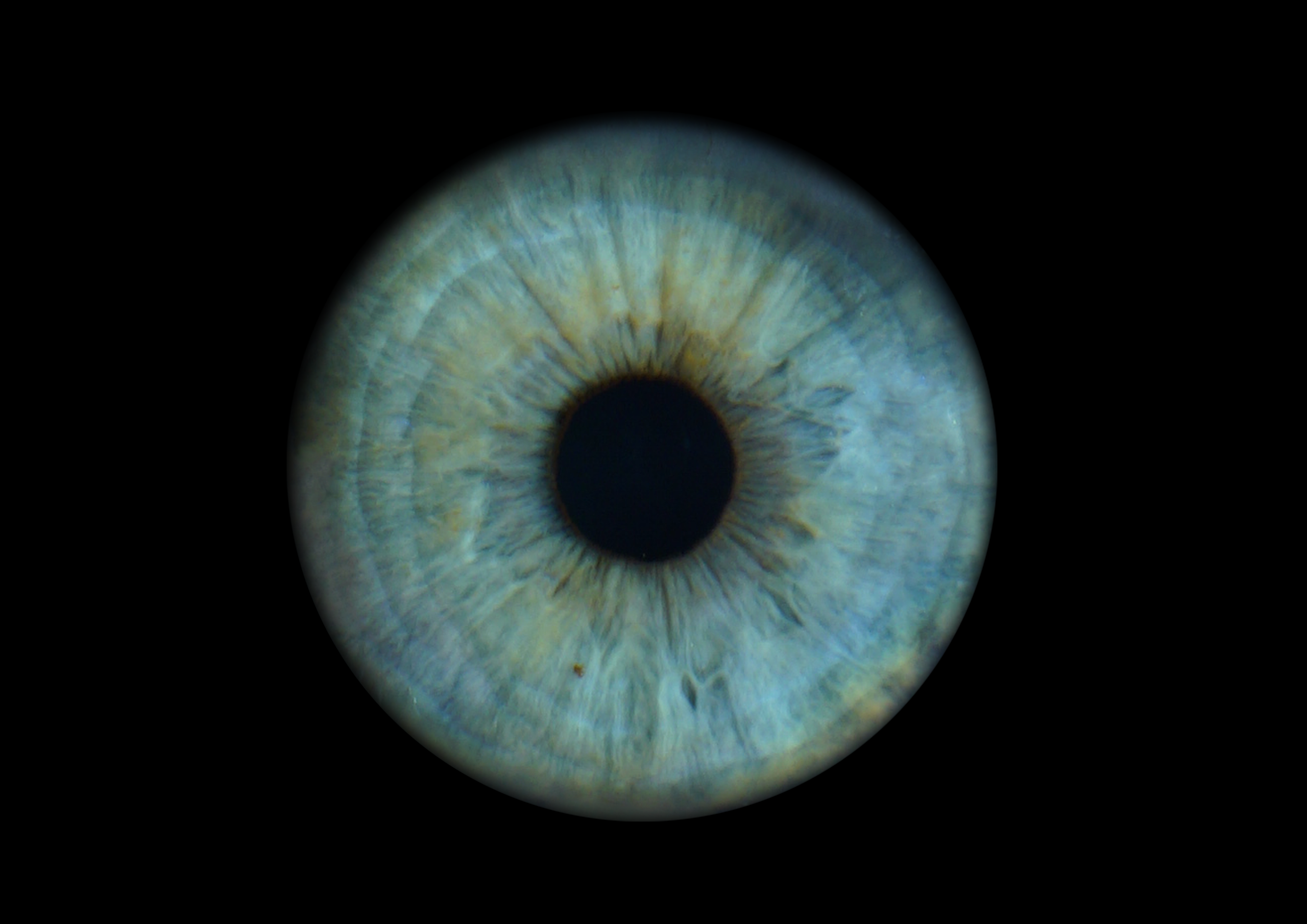 Наталья 11021630. ShowLab