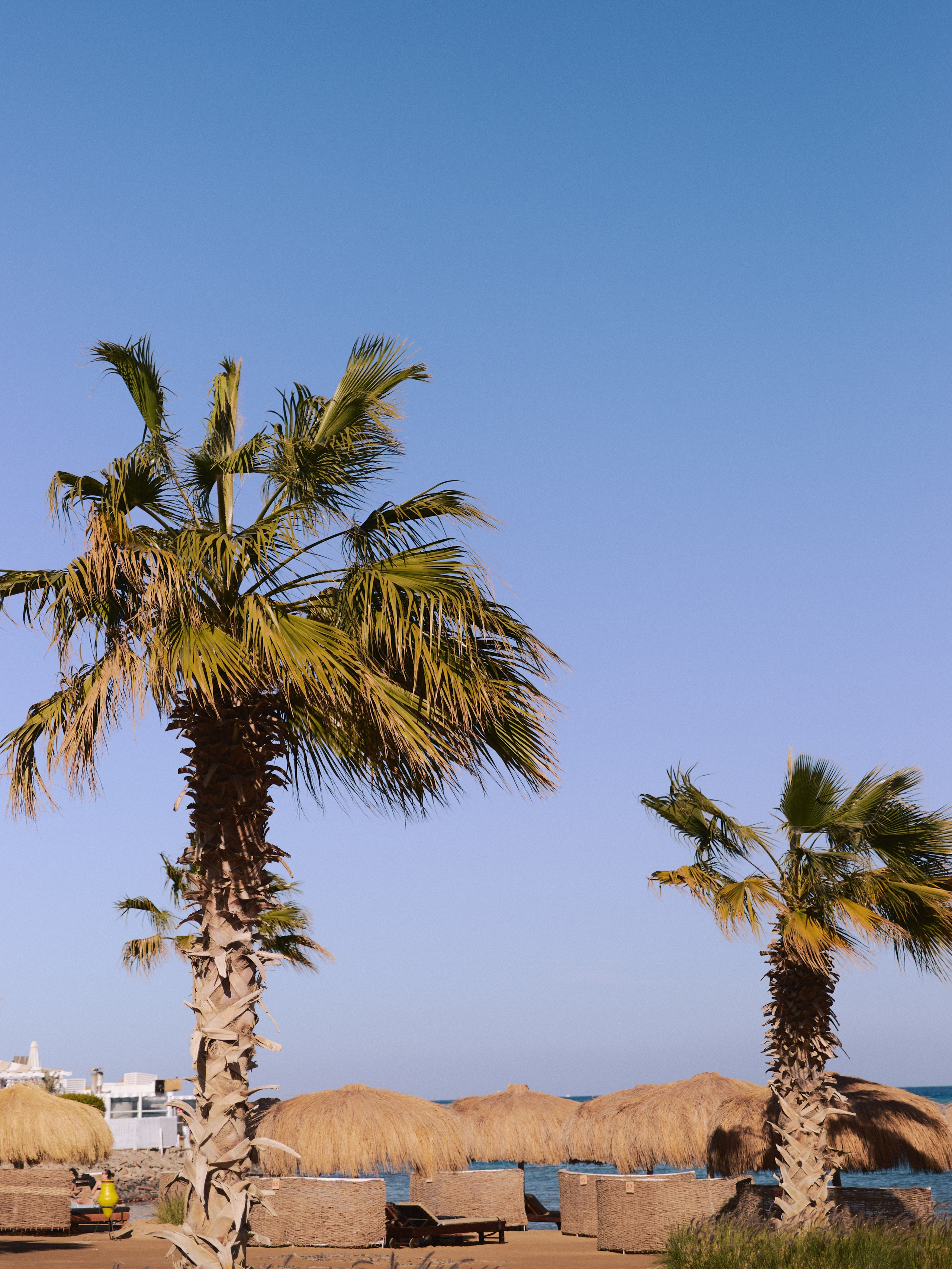 Природа сквозь. Jorgis Talè — photographer, kind person, teacher of arts and other mag