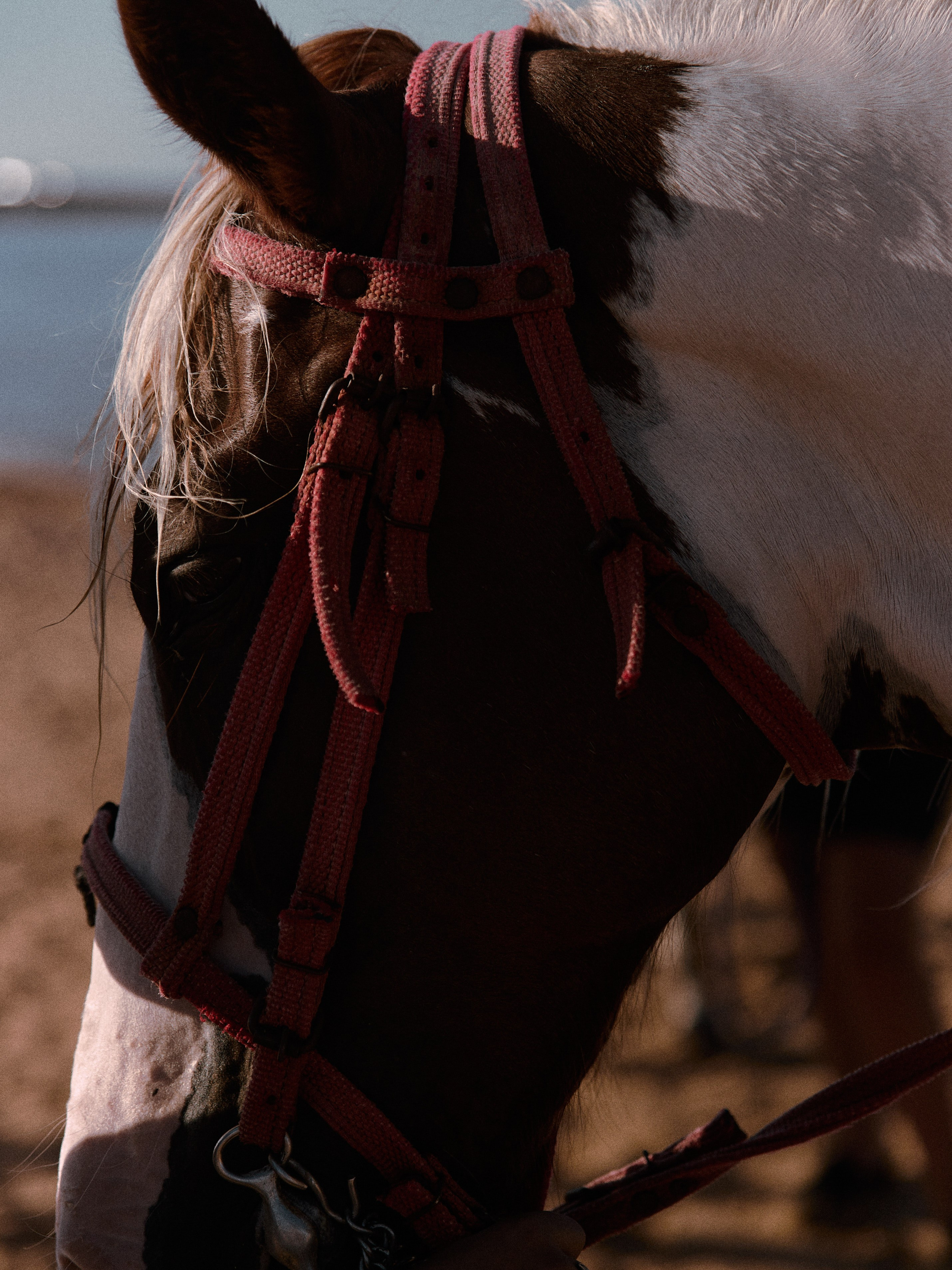 Диптих. Jorgis — фотограф в Хургаде / обучение фотографии