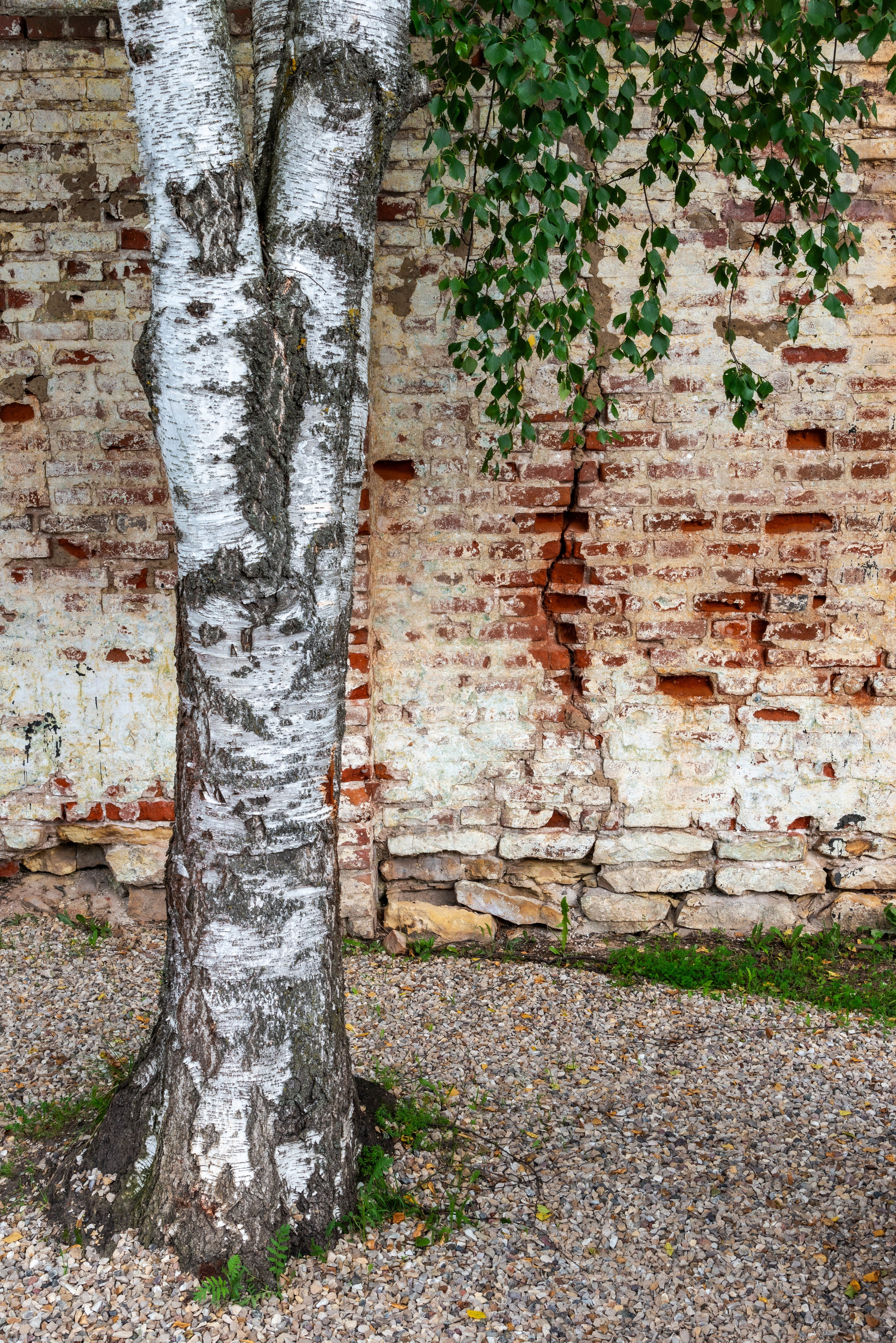 Торжок. Пейзажный фотограф Сергей Пестерев. Фото природы