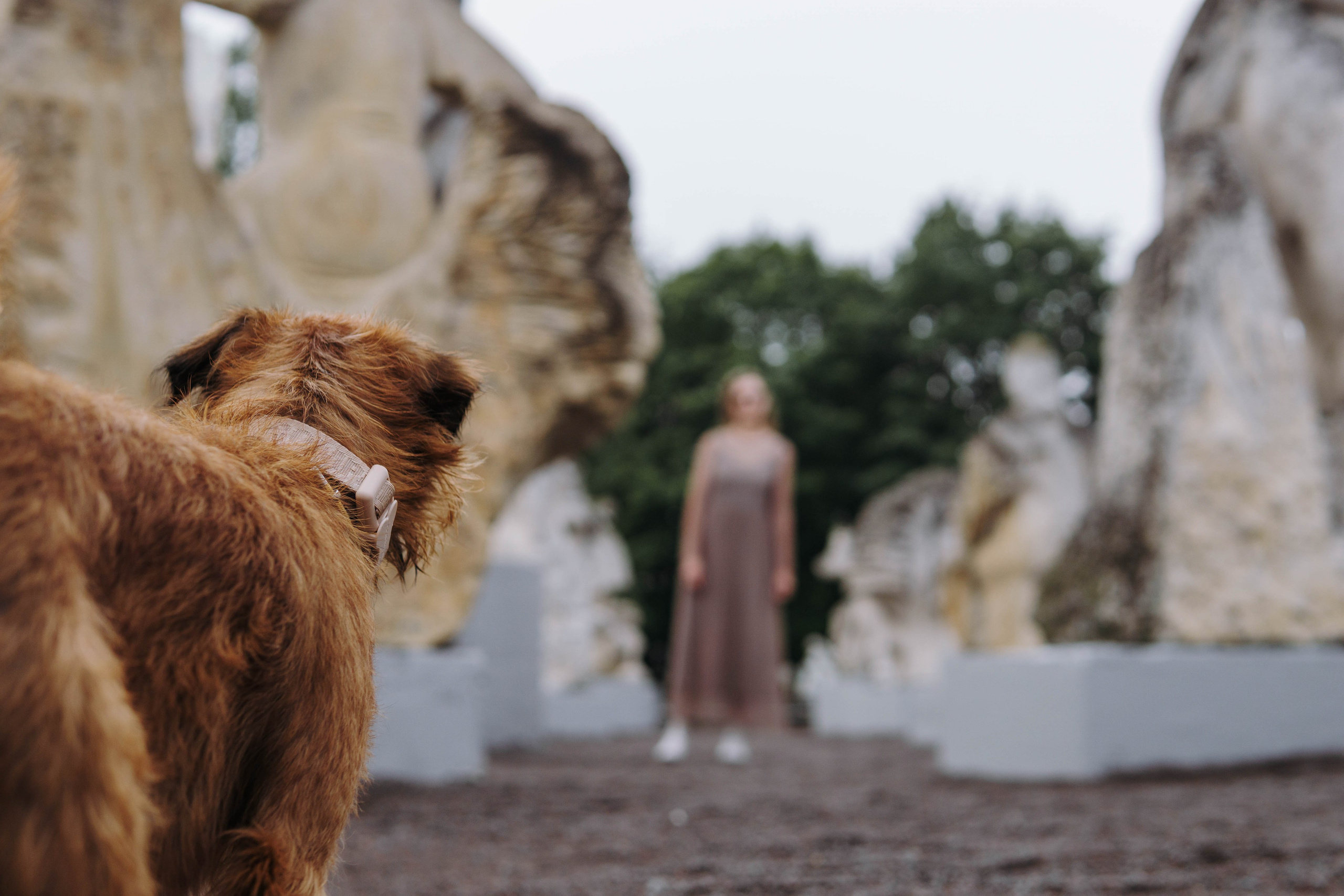 Наташа, Сережа и Хавьер. Фотограф-анималист Ксения Воробьева, Москва
