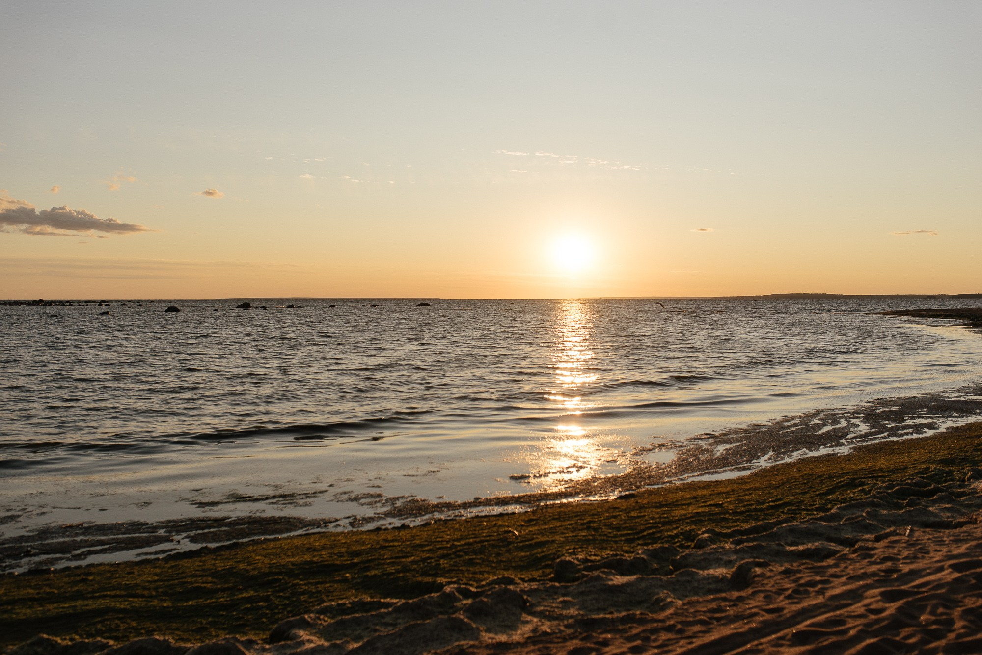 Роман и Дарья. Свадебный и семейный фотограф в Санкт-Петербурге Алиева Айнура