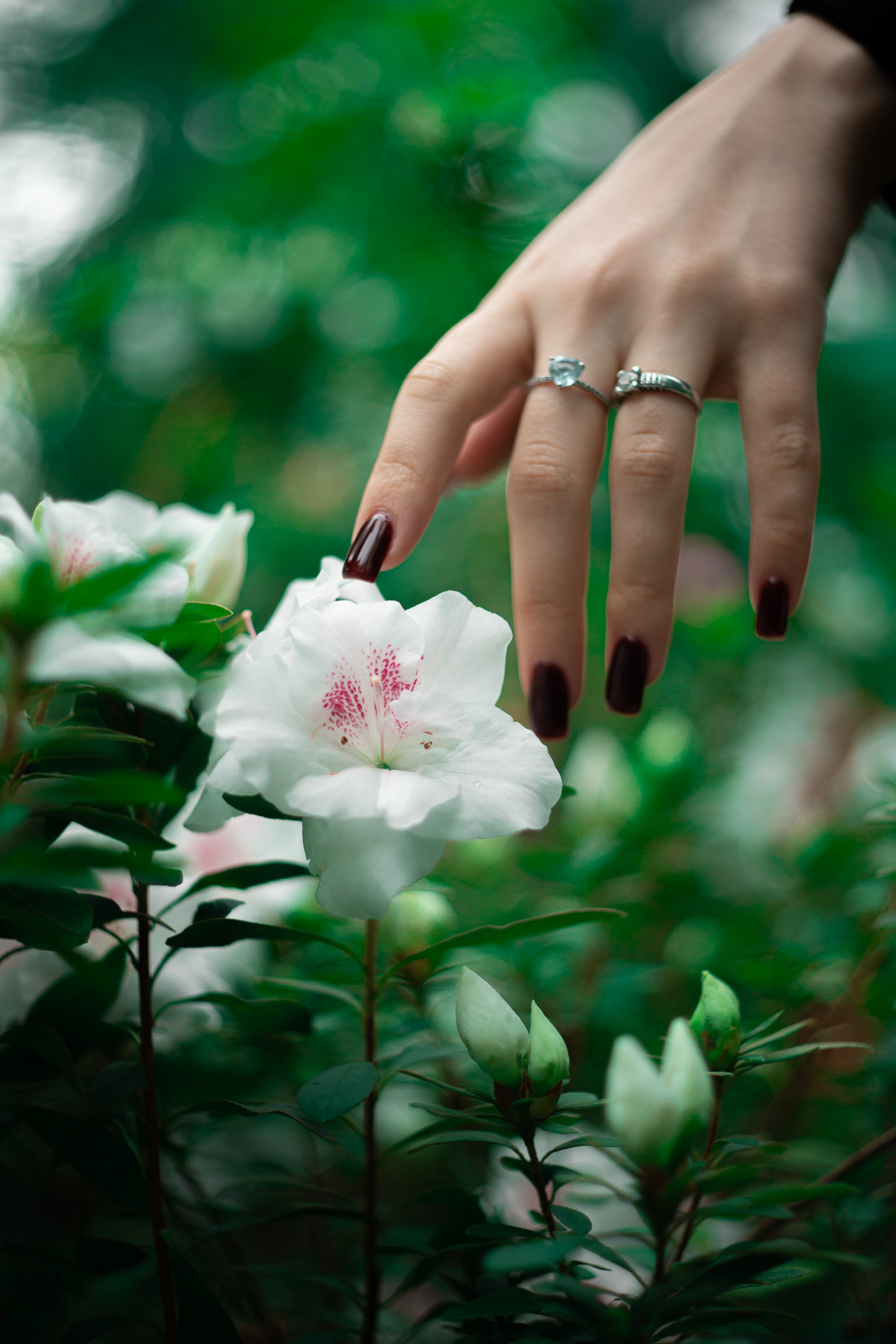 Фотограф в Нижнем Новгороде
