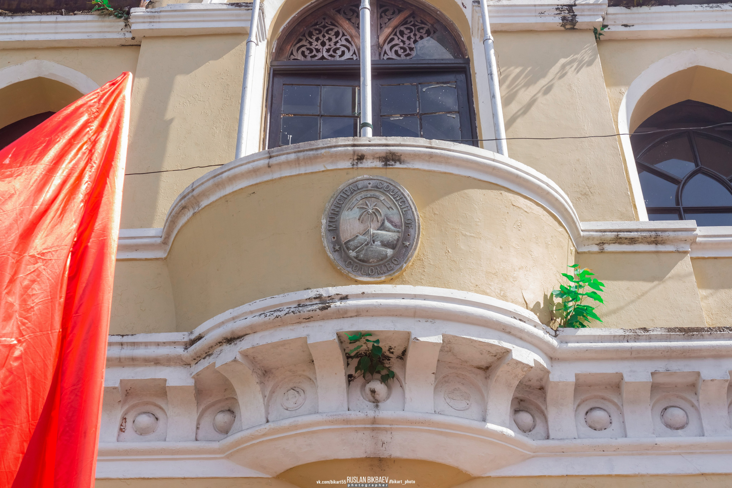 ШРИ-ЛАНКА 2025 / SRI LANKA 2025. Главная