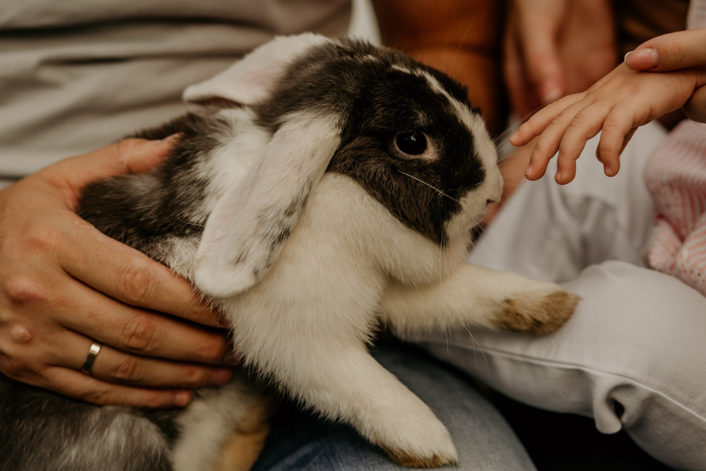 Топ фотограф в Ростове-на-Дону и Санкт-Петербурге
