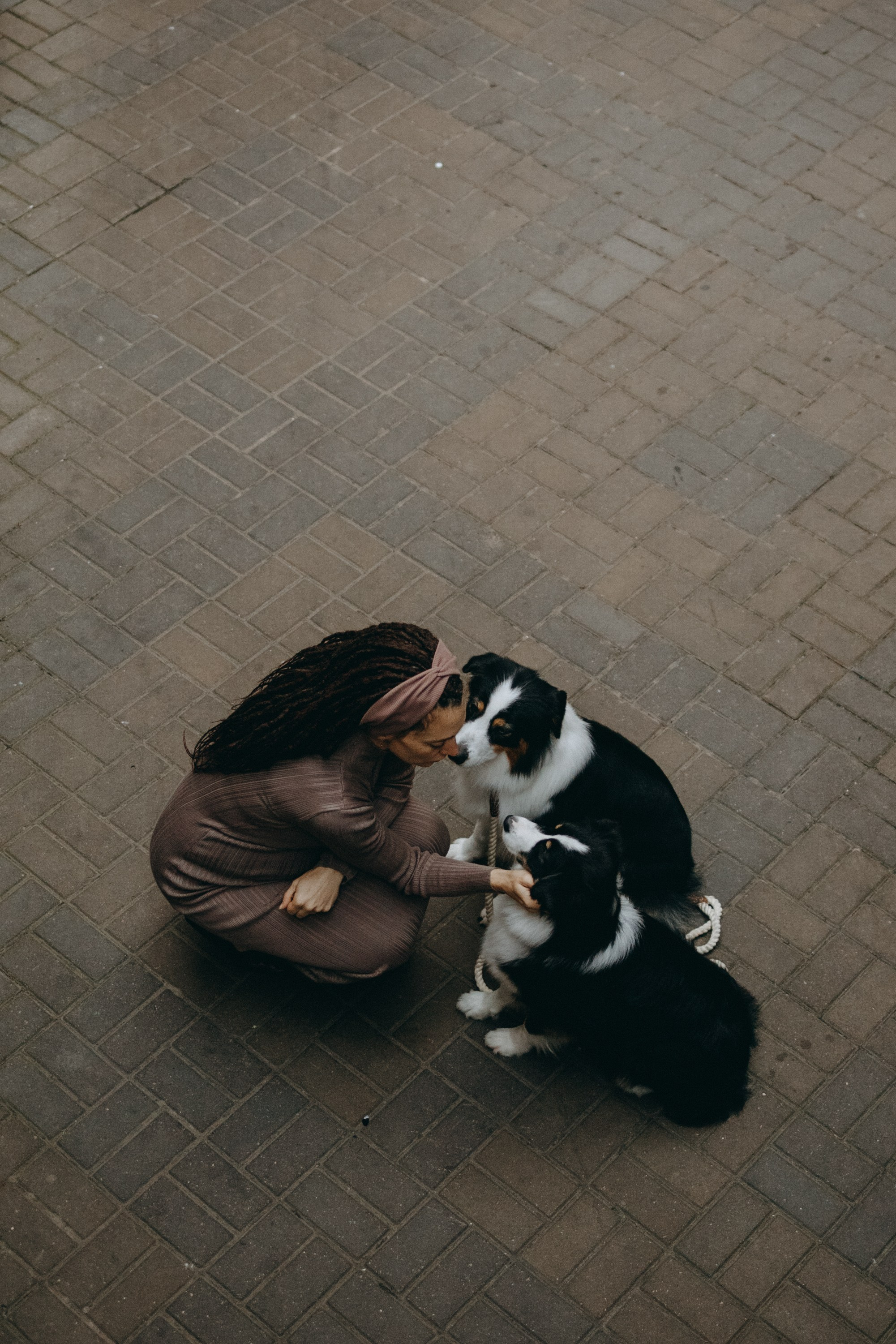 Катя и ее девочки. Фотограф — Анималист | Санкт-Петербург