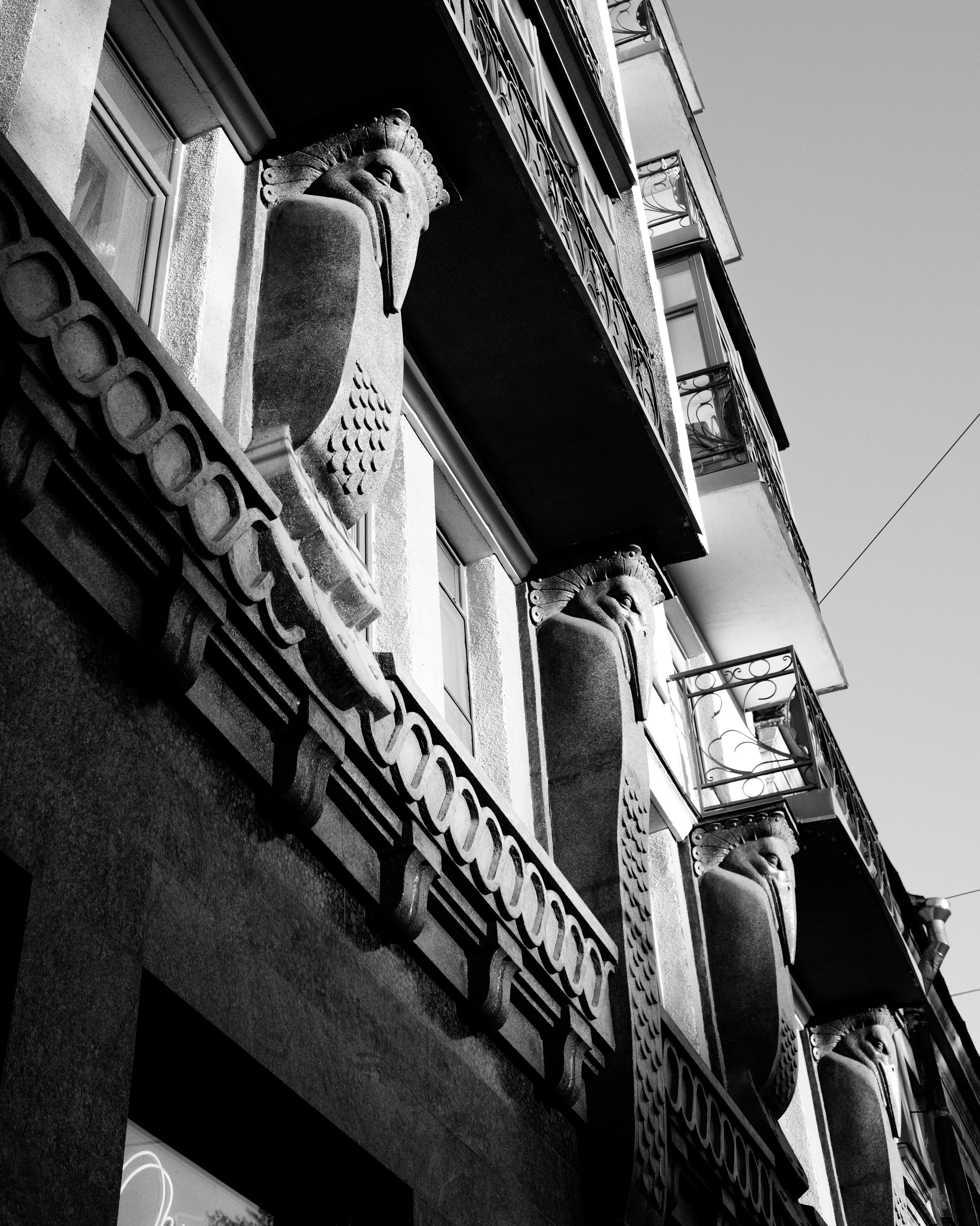 Санкт-Петербург. BELABONKA