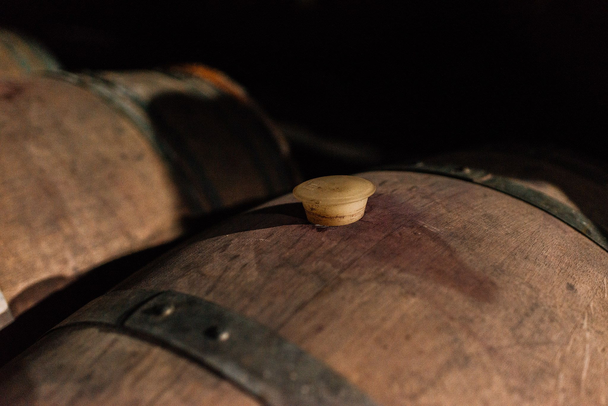 Винный завод «Корпорация Киндзмараули». Май 25. Репортажный фотограф в Санкт-Петербурге Анастасия Клёпова