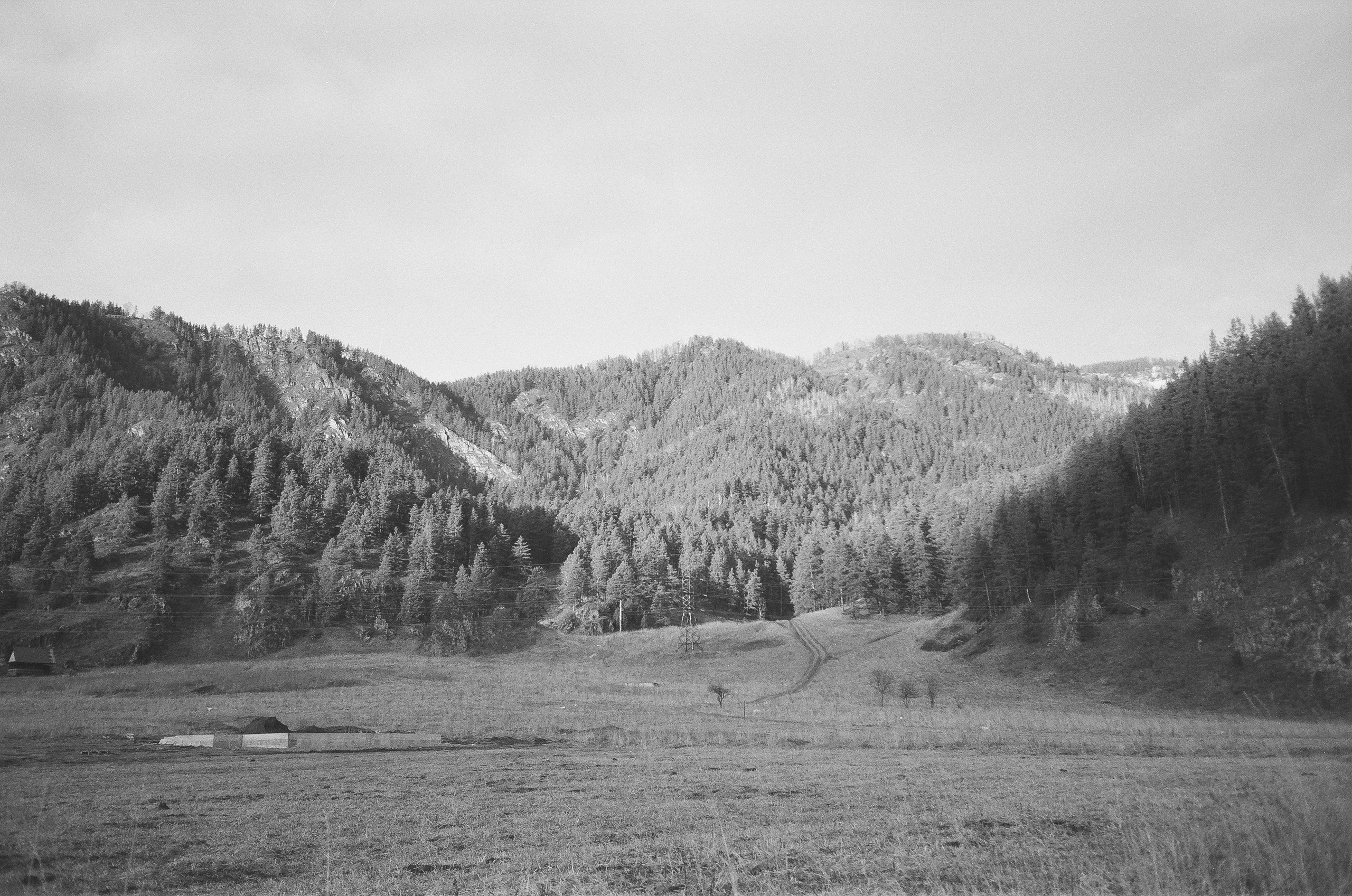 Деревня Берендеевка и кафе Лампа в верхах Алтая. Горы и поля Чемала. Фотограф-документалист Мария Осокина