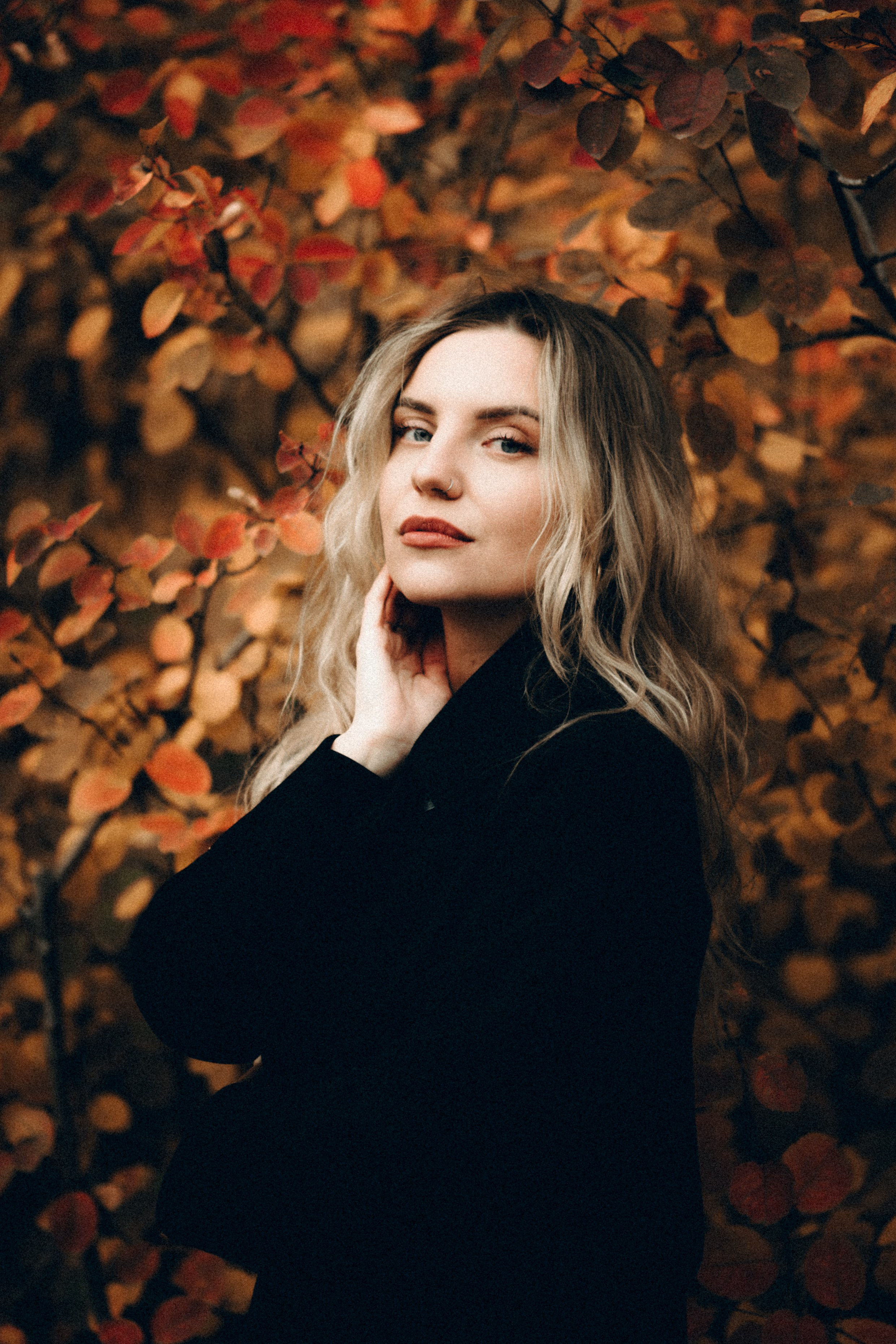 Осенний портрет, Октябрьское поле