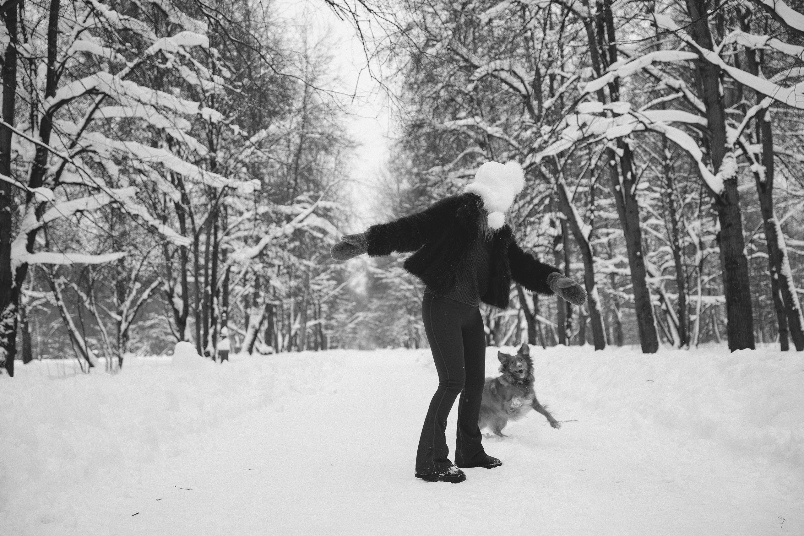 Зимний лес.Индивидуальная. Фотограф/рилсмейкер в Москве и МО. Свадьбы, индивидуальные съемки, лавстори, беременность, мероприятия, бренды