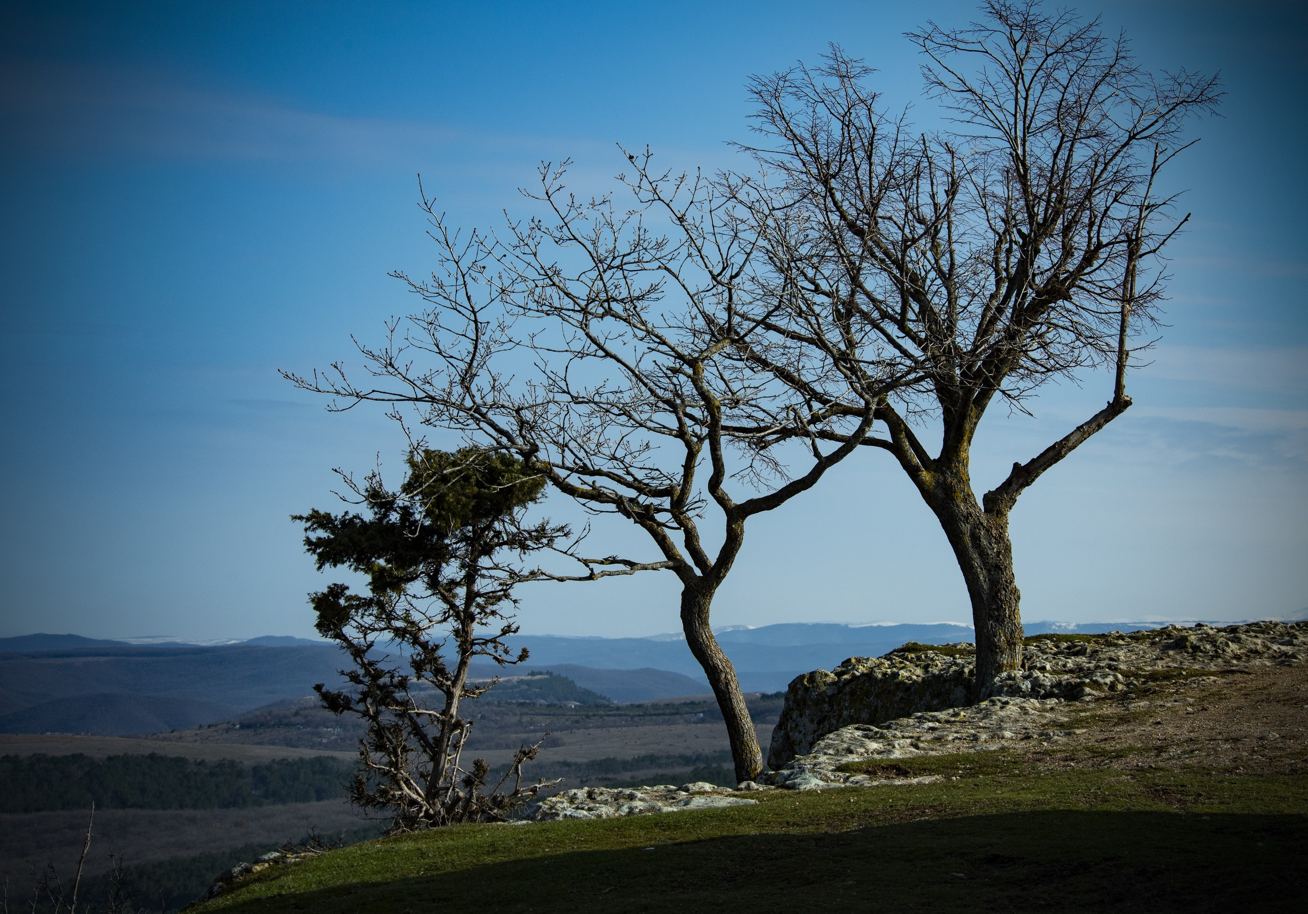 Пейзаж, Архитектура. Фотограф Брянск