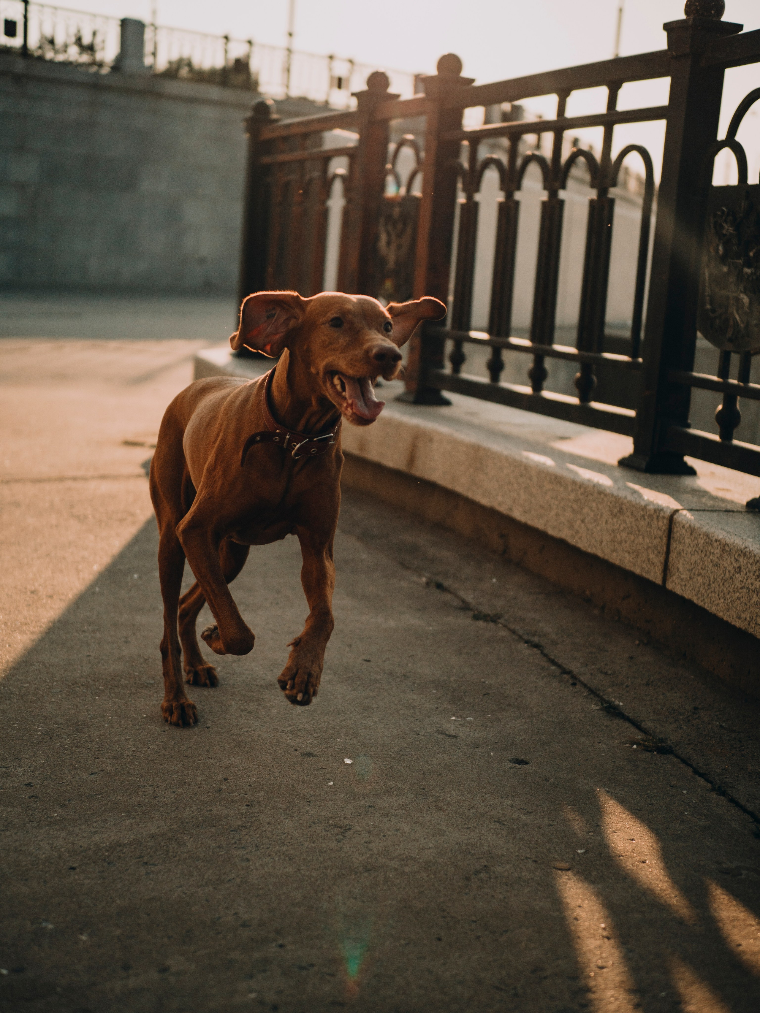 Под мостом. Фотограф и видеограф в Благовещенске и Санкт-Петербурге Мурыгина Мария