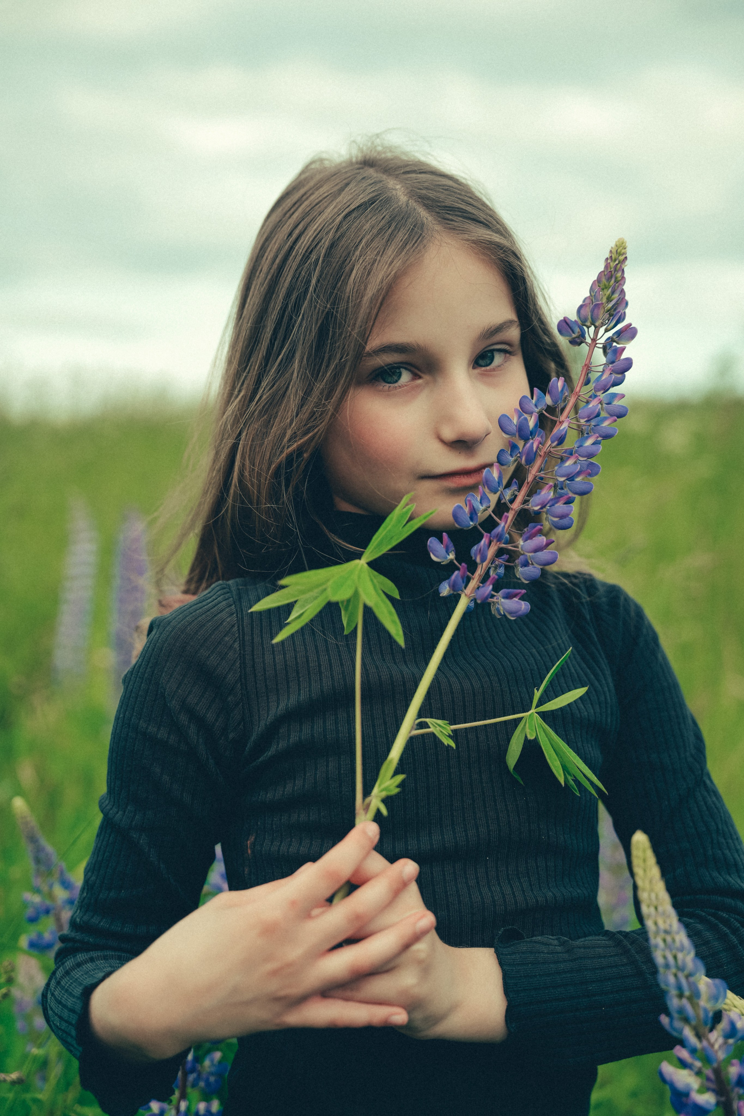 Люпиновое поле. Портретный фотограф в Санкт-Петербурге Дария Сыч