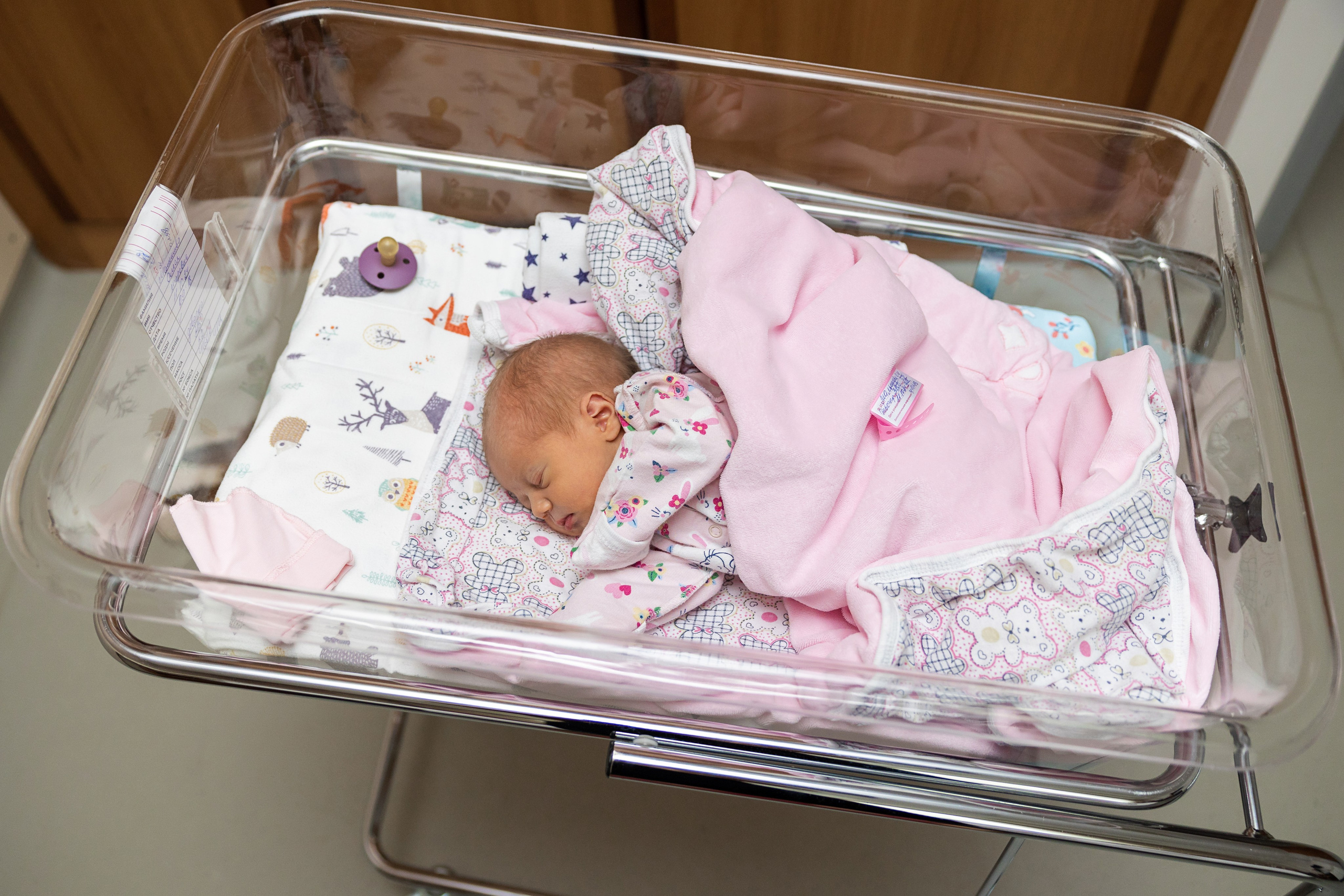 Выписка в Лапино. Фотограф Крещение, Выписка москва