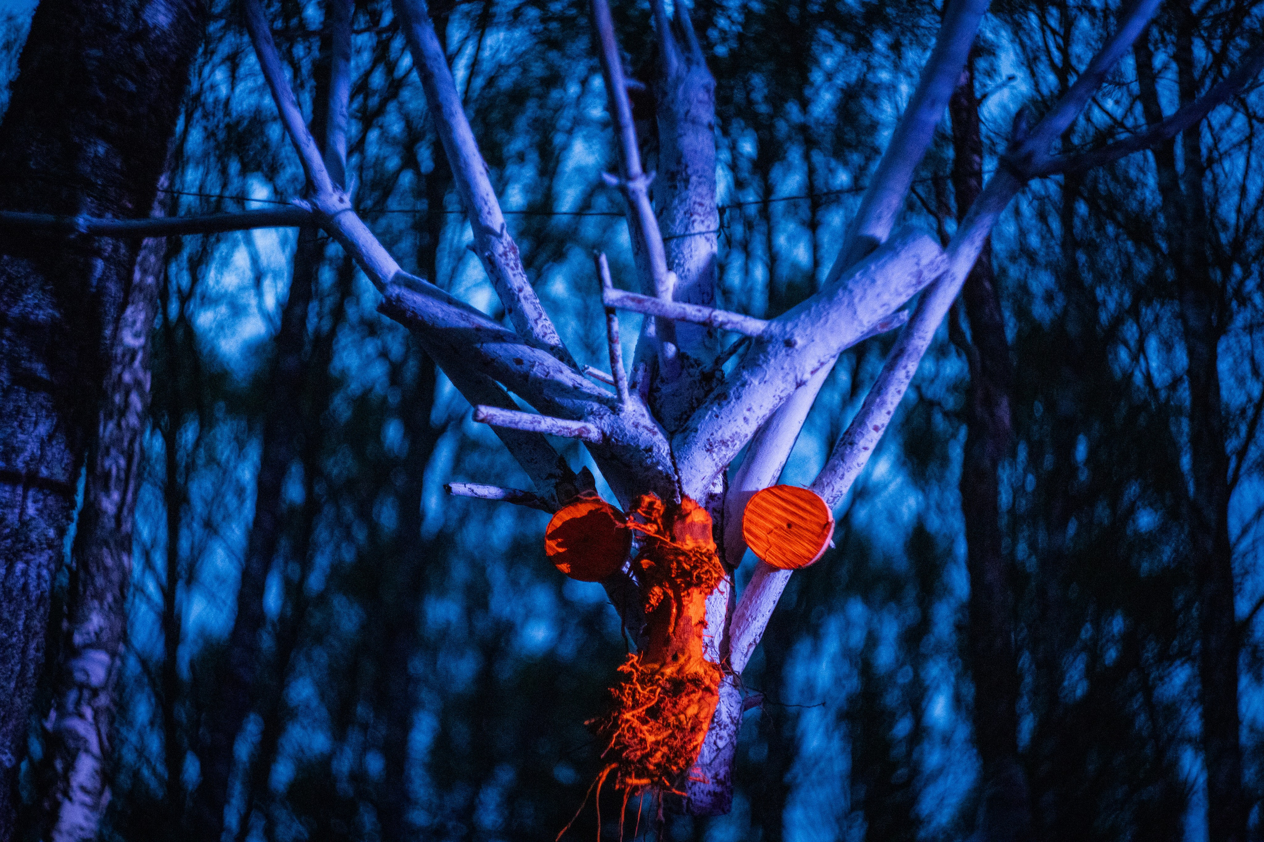 ANATMAN 2025. Сайт Фотографа MASHASOLAR