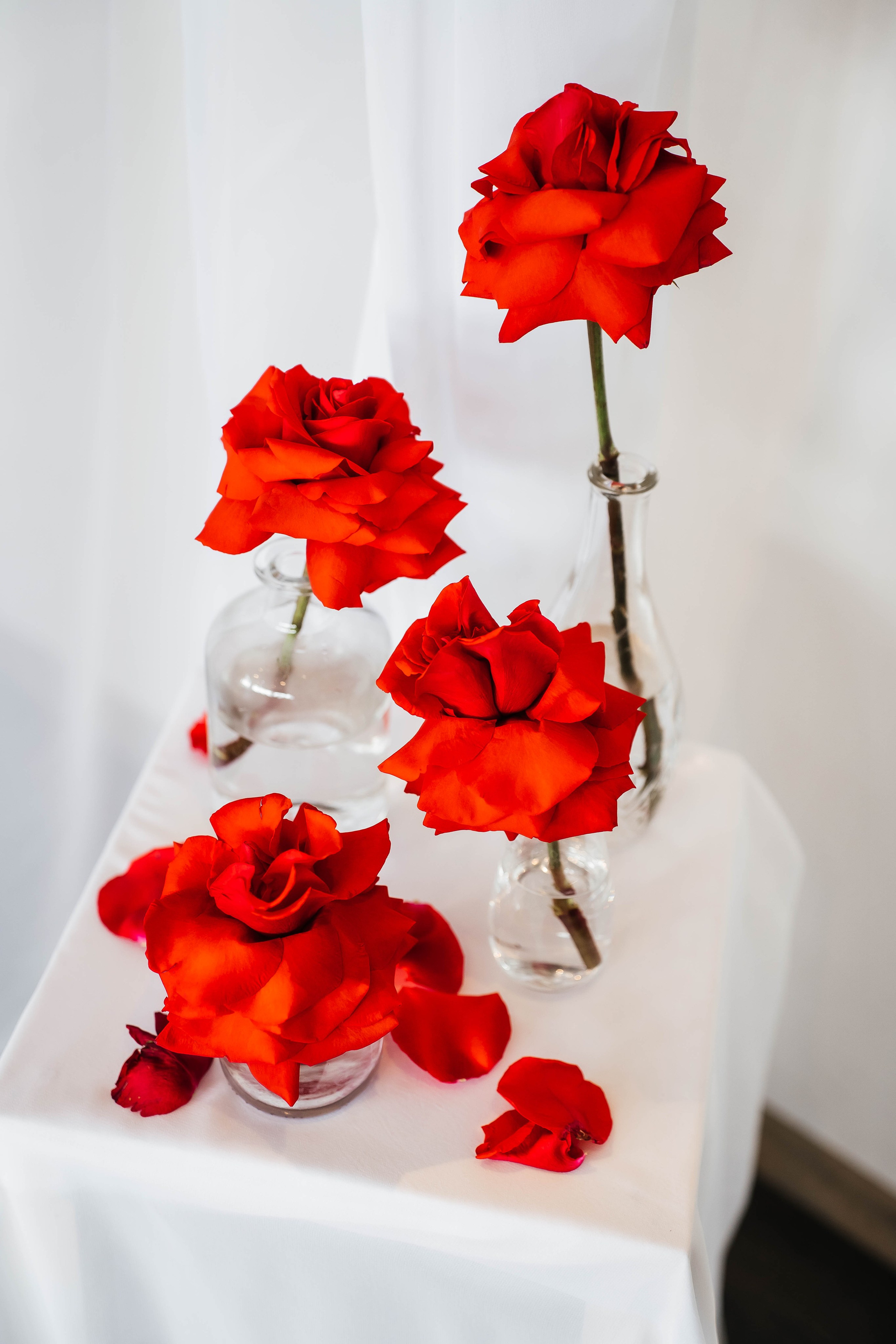 Майкл & Лиля. Фотограф Абакумова Анастасия