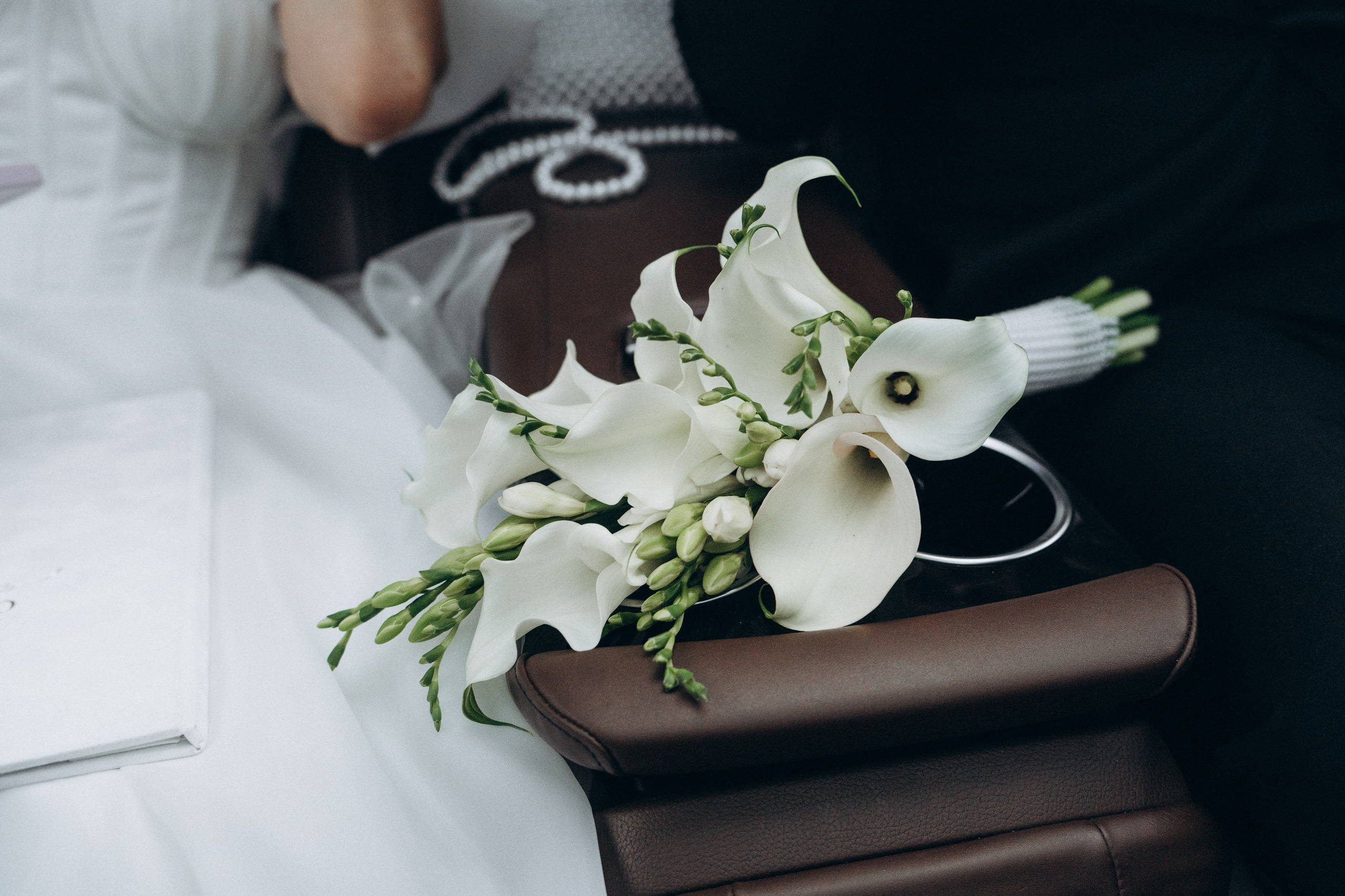 Маргарита и Артур. Фотограф анималист в Москве и Санкт-Петербурге Свиридова Анна