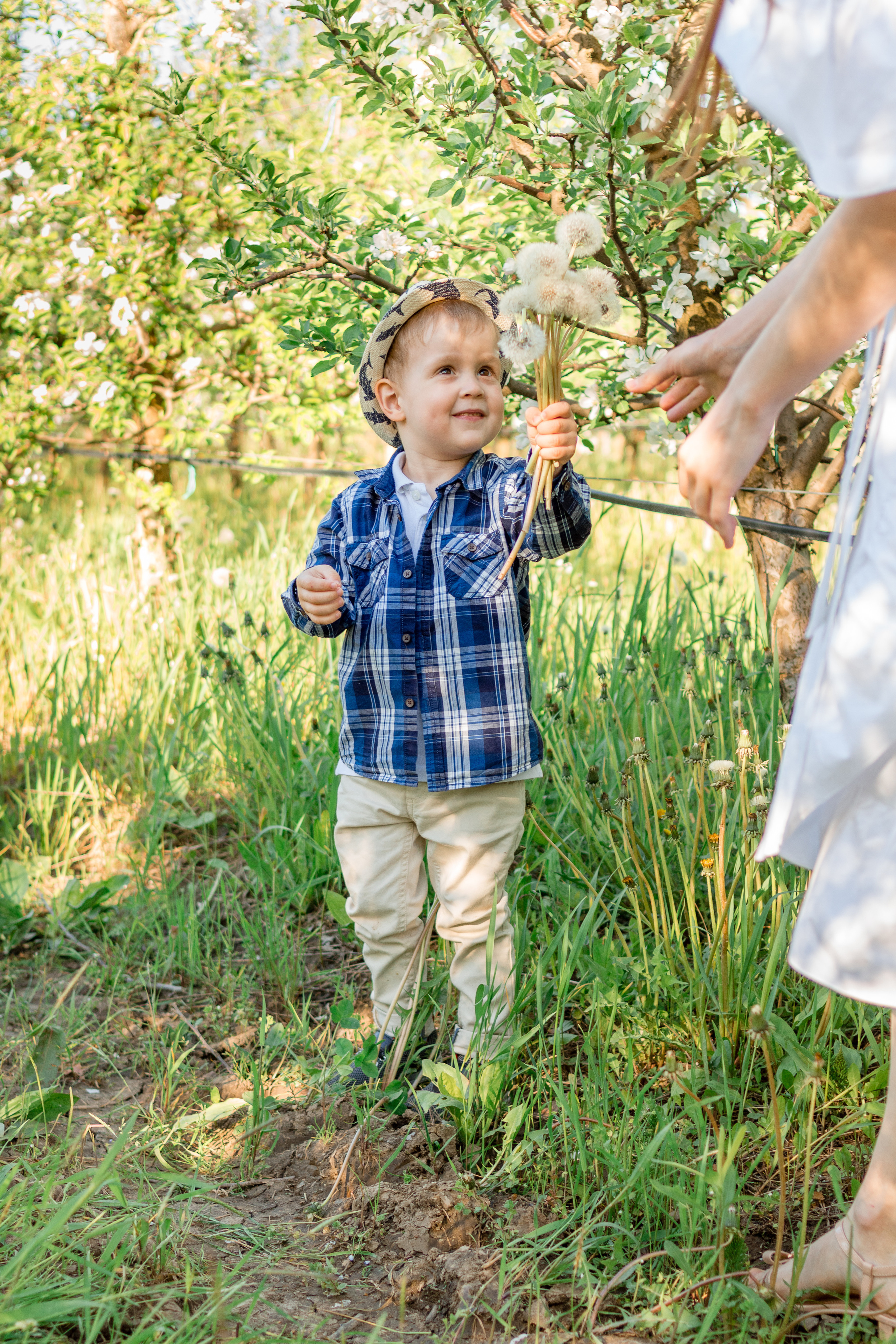 Фотосессия в садах. Фотограф беременных  Апшеронск Краснодарского края Светлана Обламская