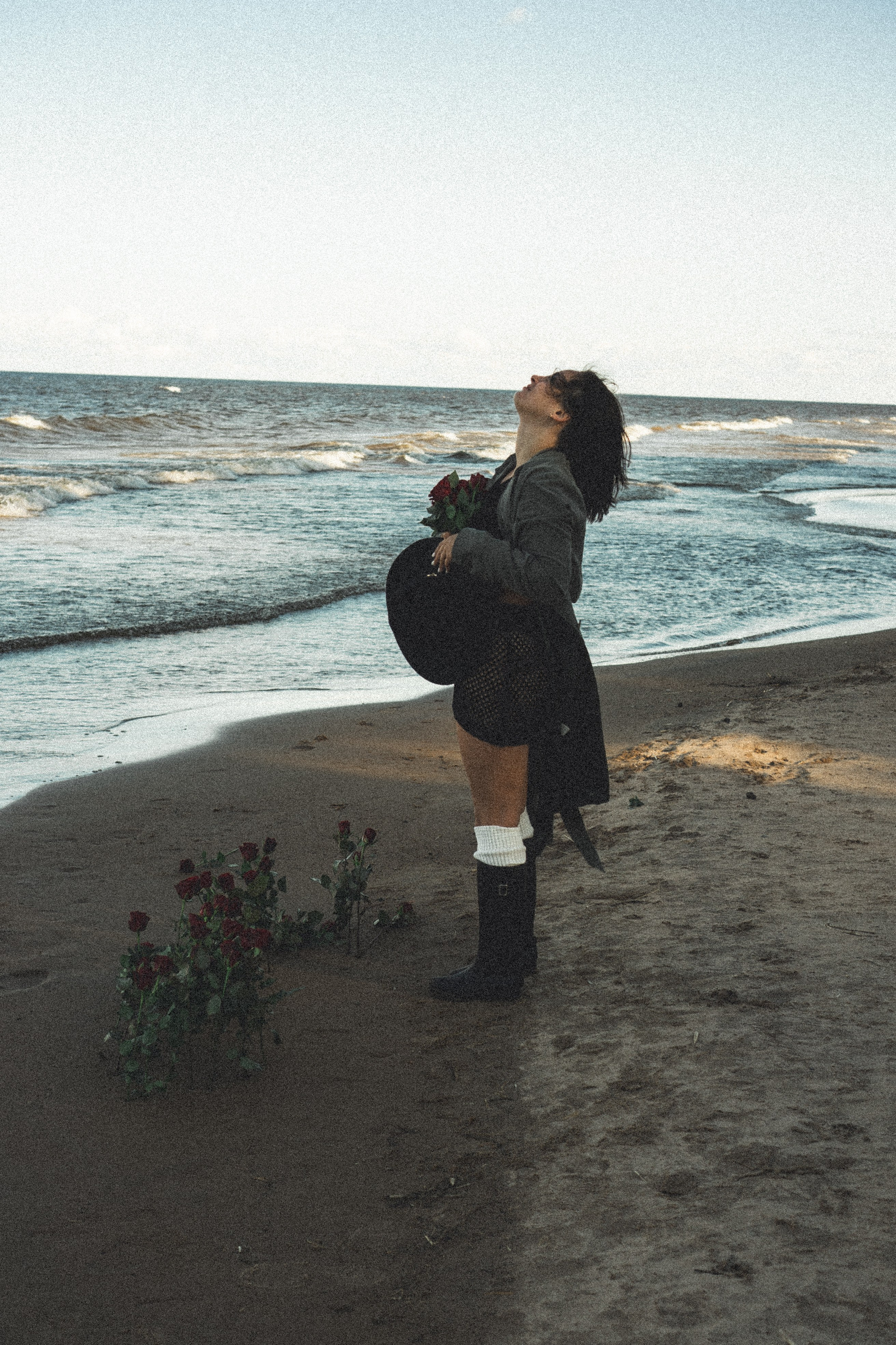 Розы. Профессиональный фотограф, Санкт-Петербург — Виктория Богомолова