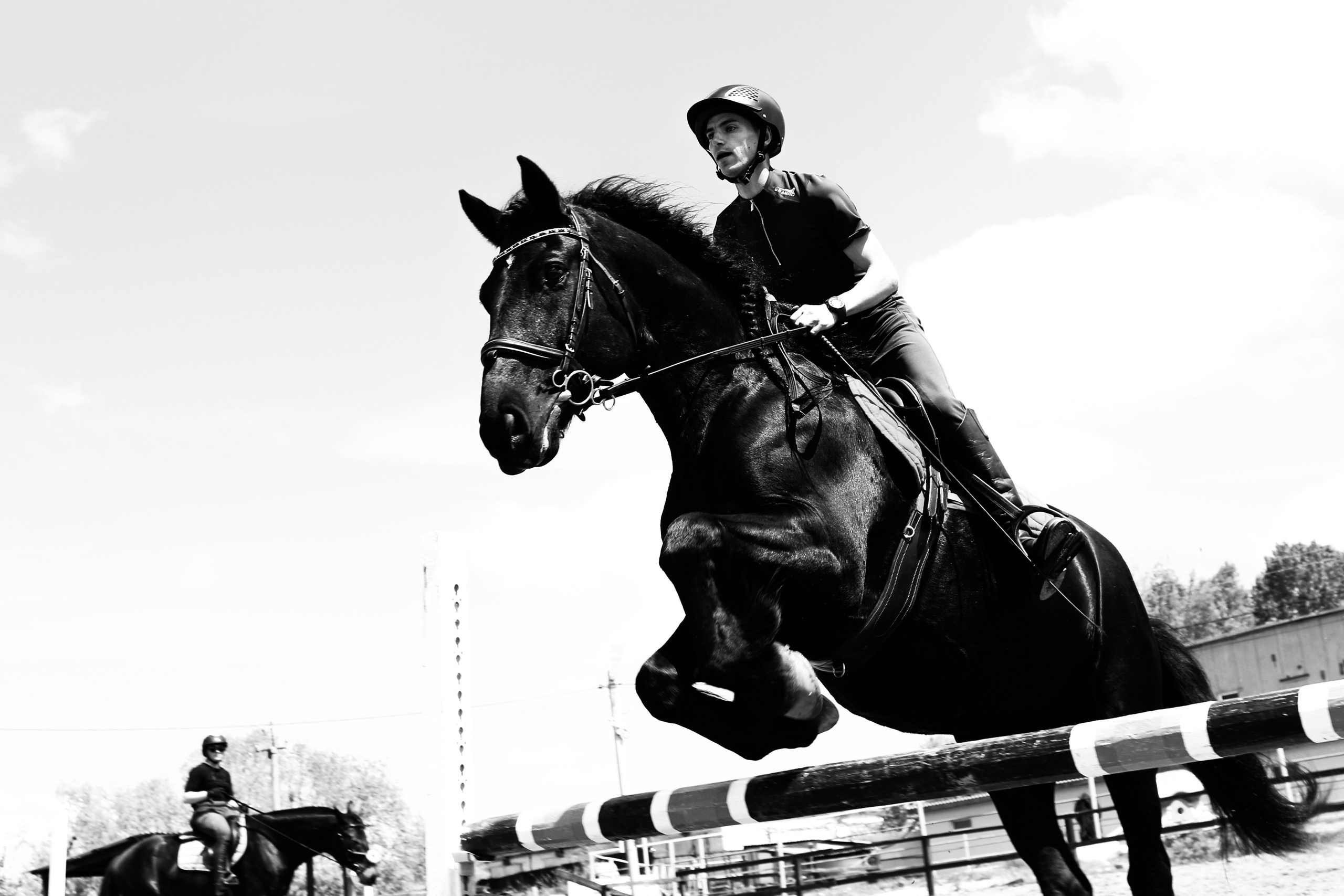 Лошади «Каскад» и «Брилиант». Алиса Томшина — Фотограф / Видеограф