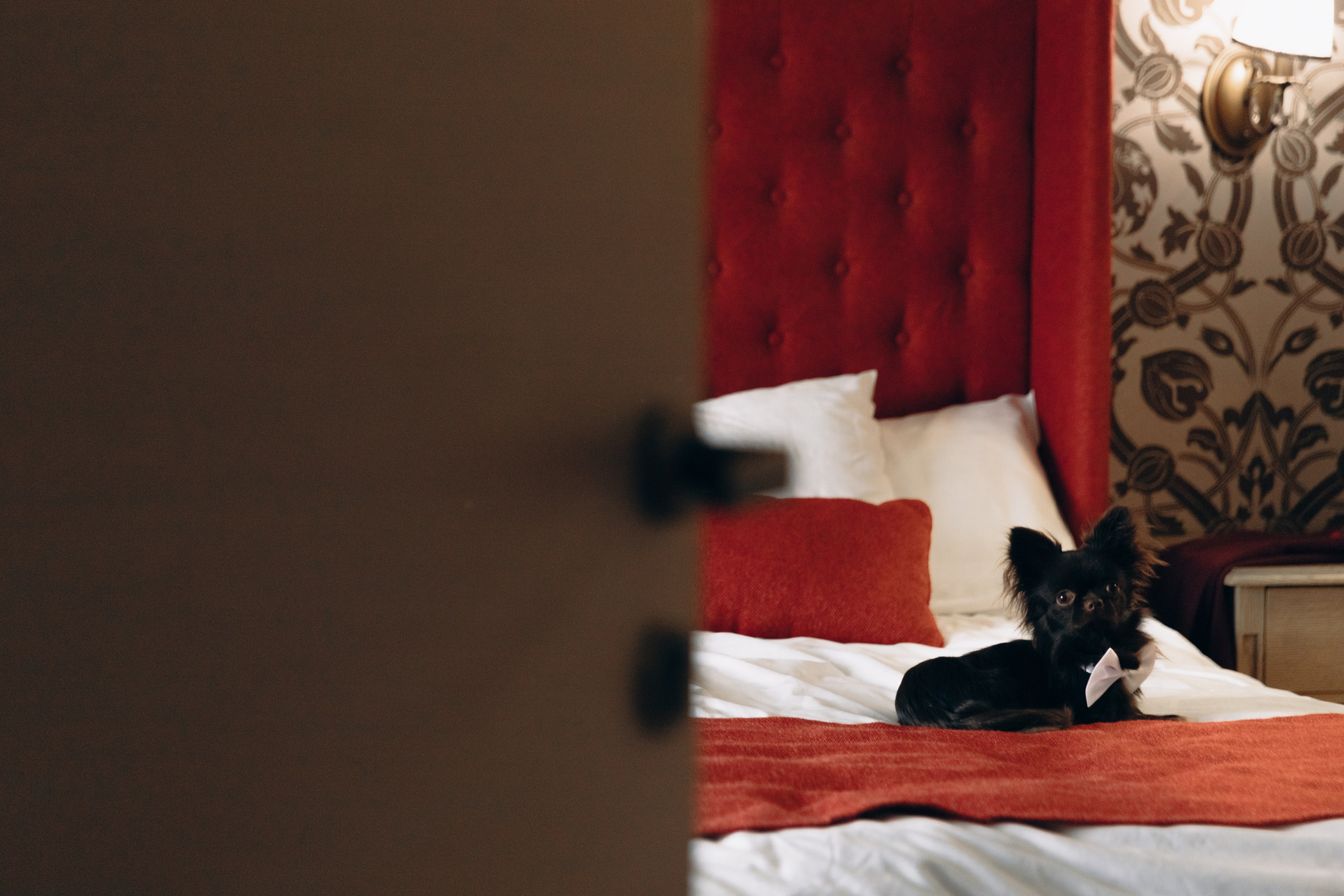 Nikita&Katya. Свадебный фотограф в Санкт-Петербурге и Москве Андрей Чернов