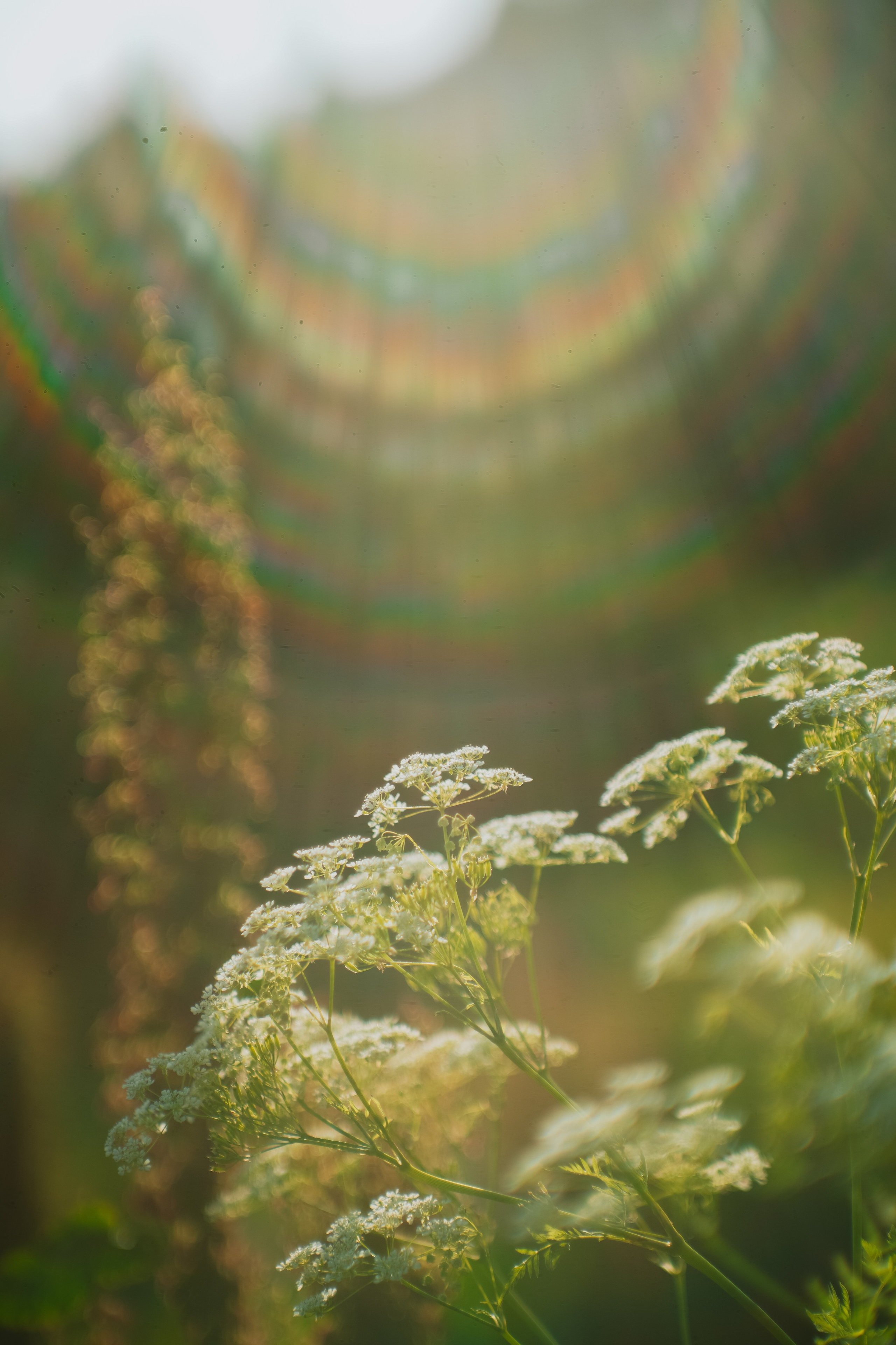 Нахазо ✽ Июль. Репортажный фотограф | Роза Хутор Красная Поляна Сочи Сириус